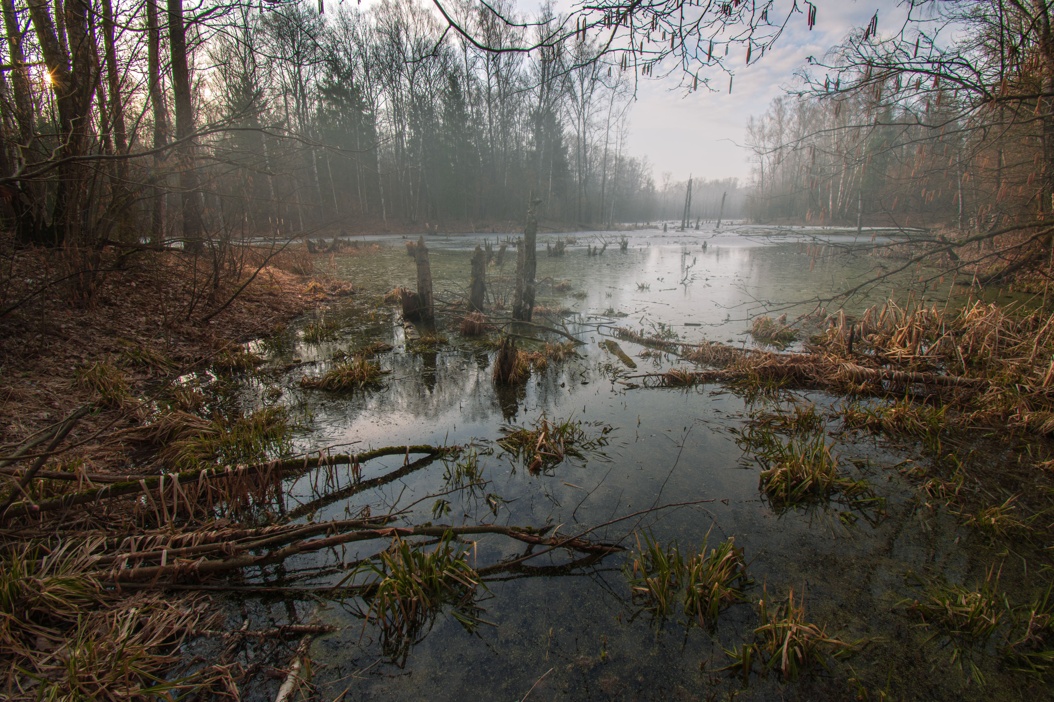 , Борис Юрьев