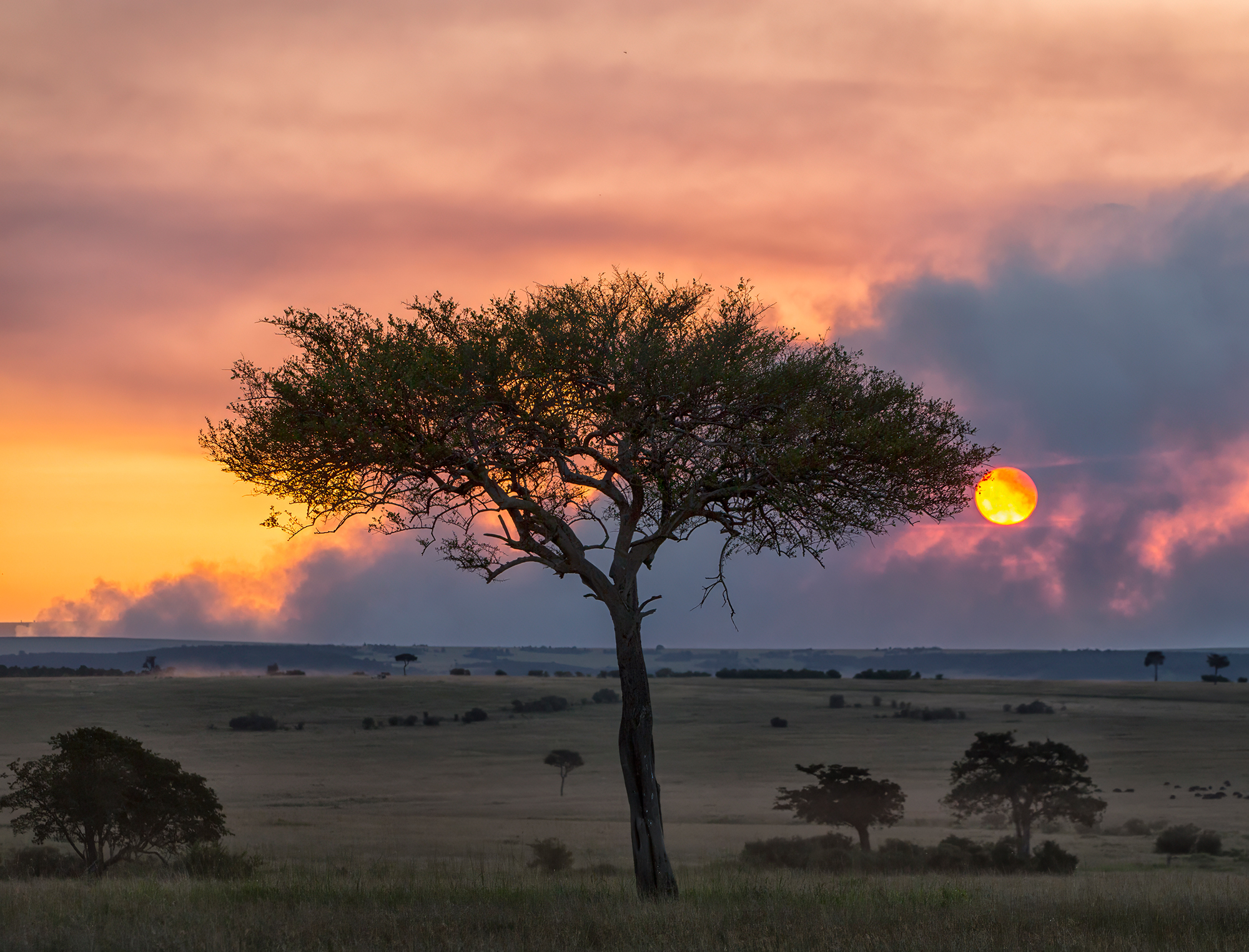 , Vorobeychik Vladimir