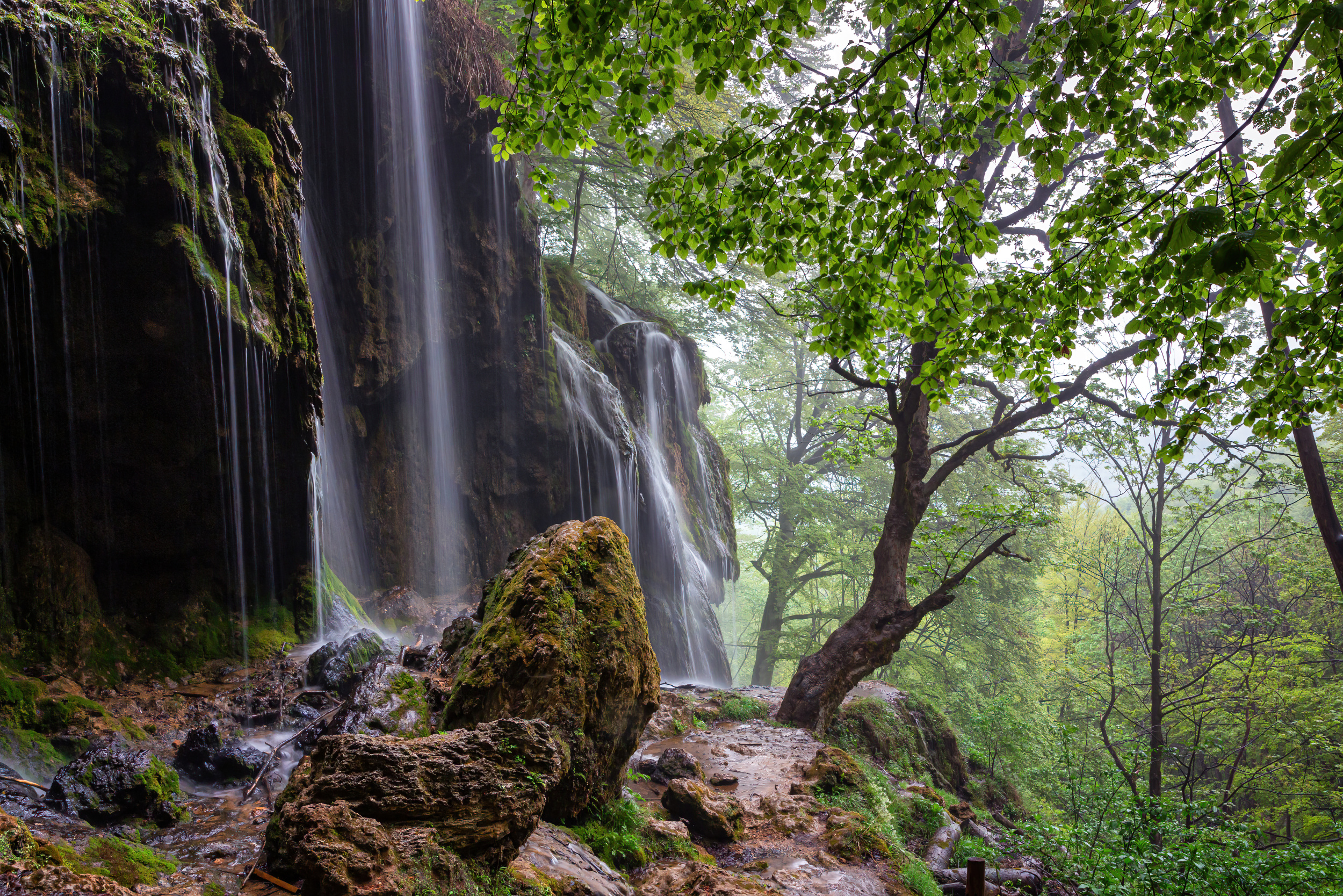 , Бистра Стоименова