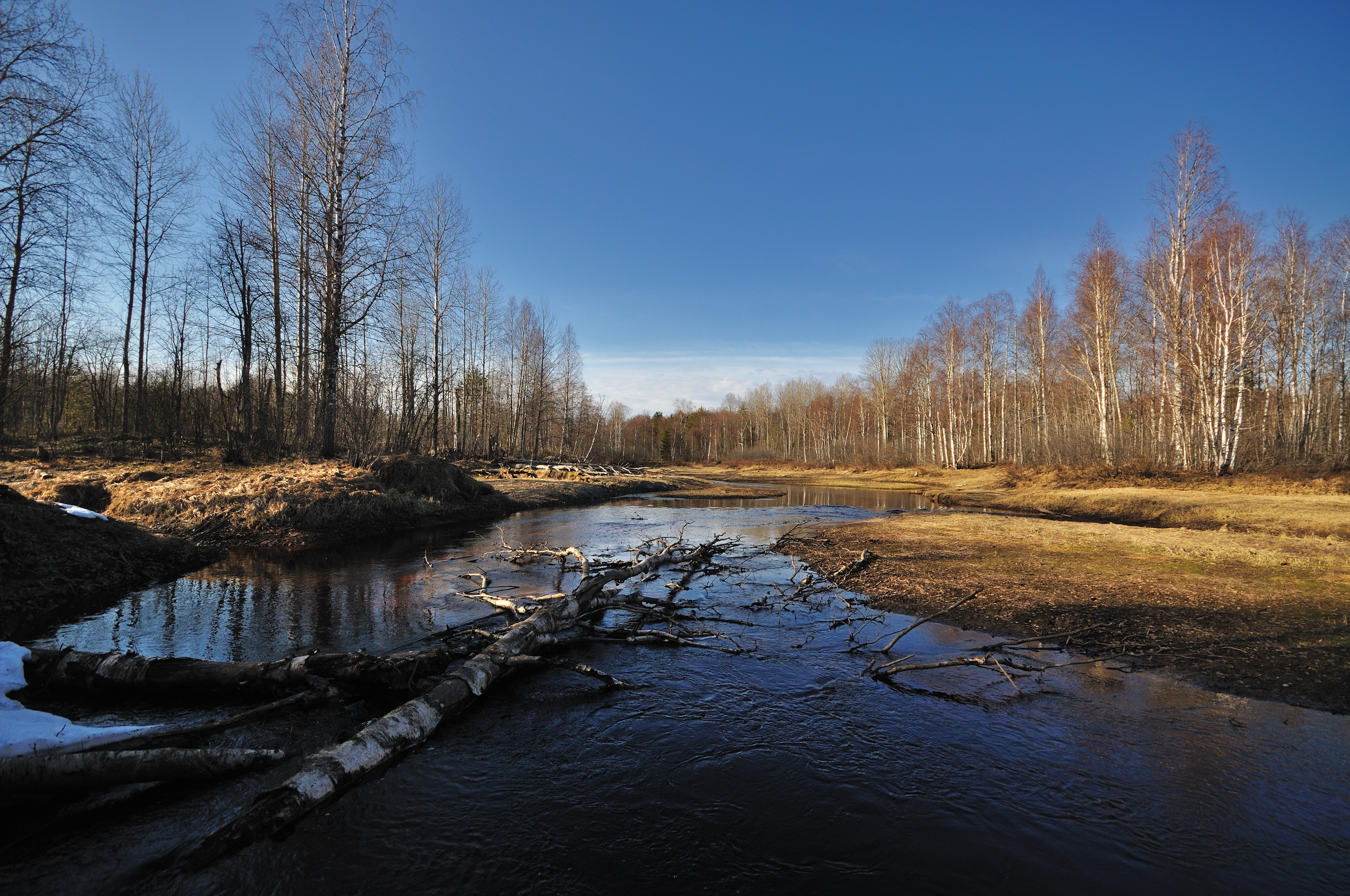 , Куликов Андрей