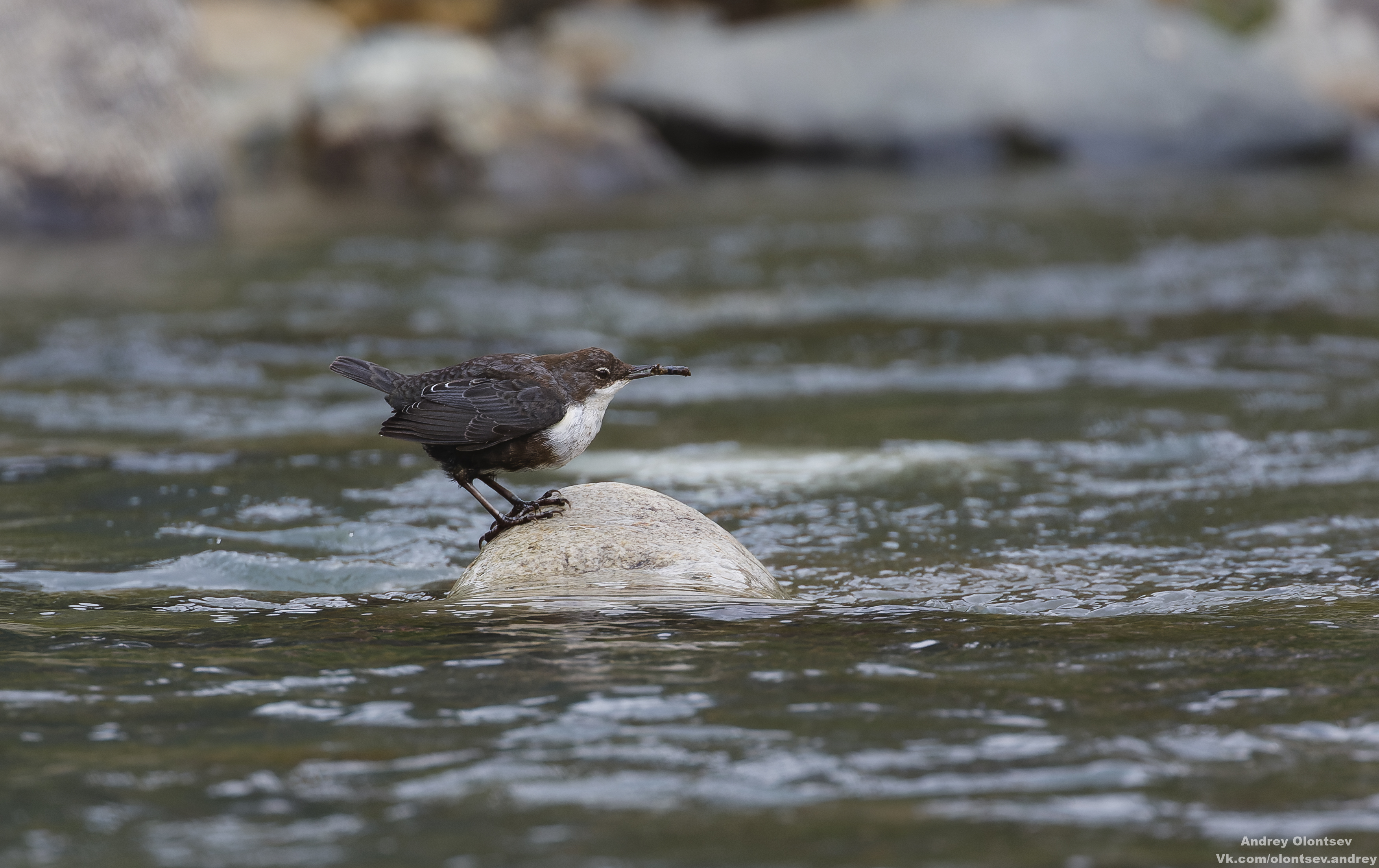 солнце, россия, рассвет, природа, подмосковье, погода, пейзажи, пейзаж, отражение, наукоград, красота, дубна, вода, весна, weather, water, spring, russia, reflection, naukograd, nature, moscow, landscape, dawn, canon, dubna, beauty, Олонцев Андрей