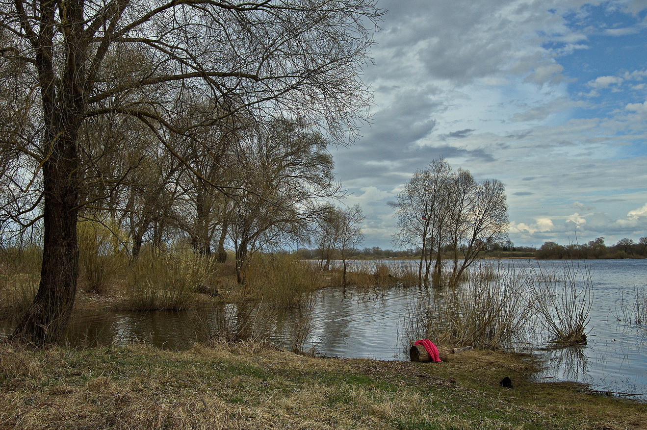 , Николаев Владимир