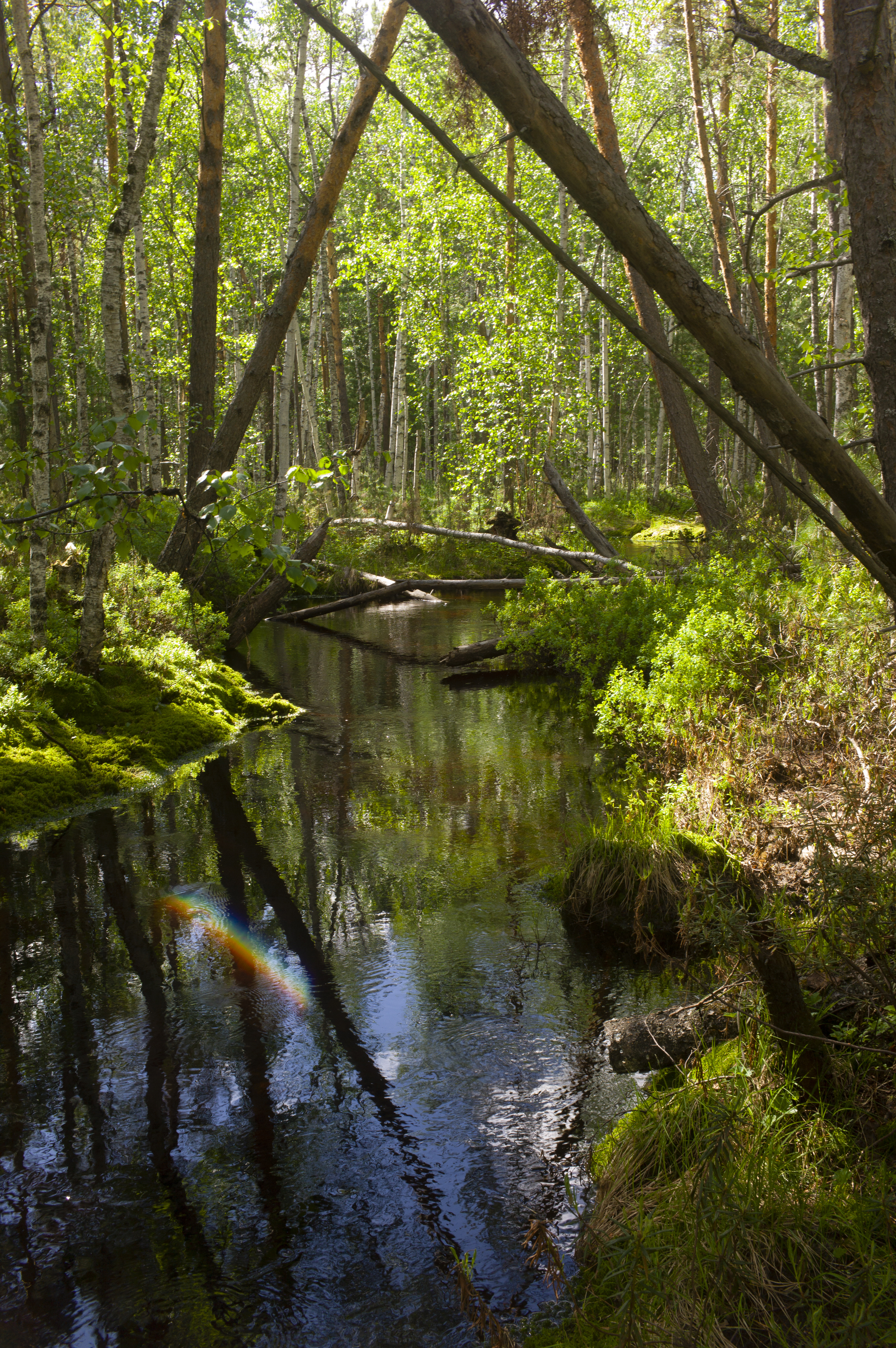 , Михаил Дронов