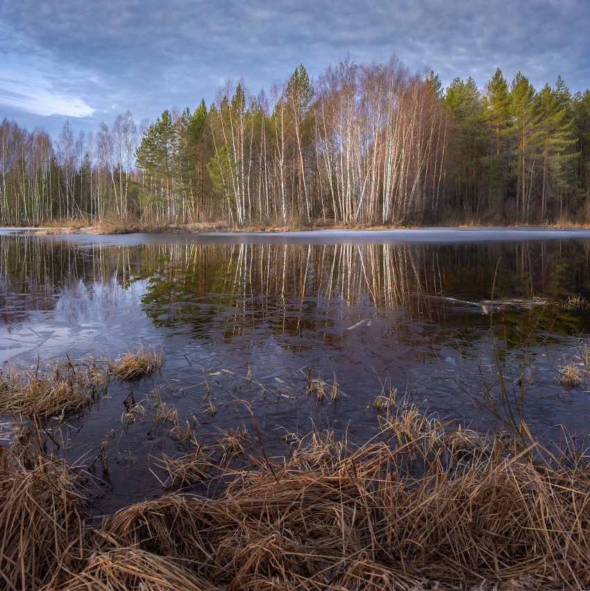 апрель утро ледок суходол половодье серково, Алексеев Дмитрий