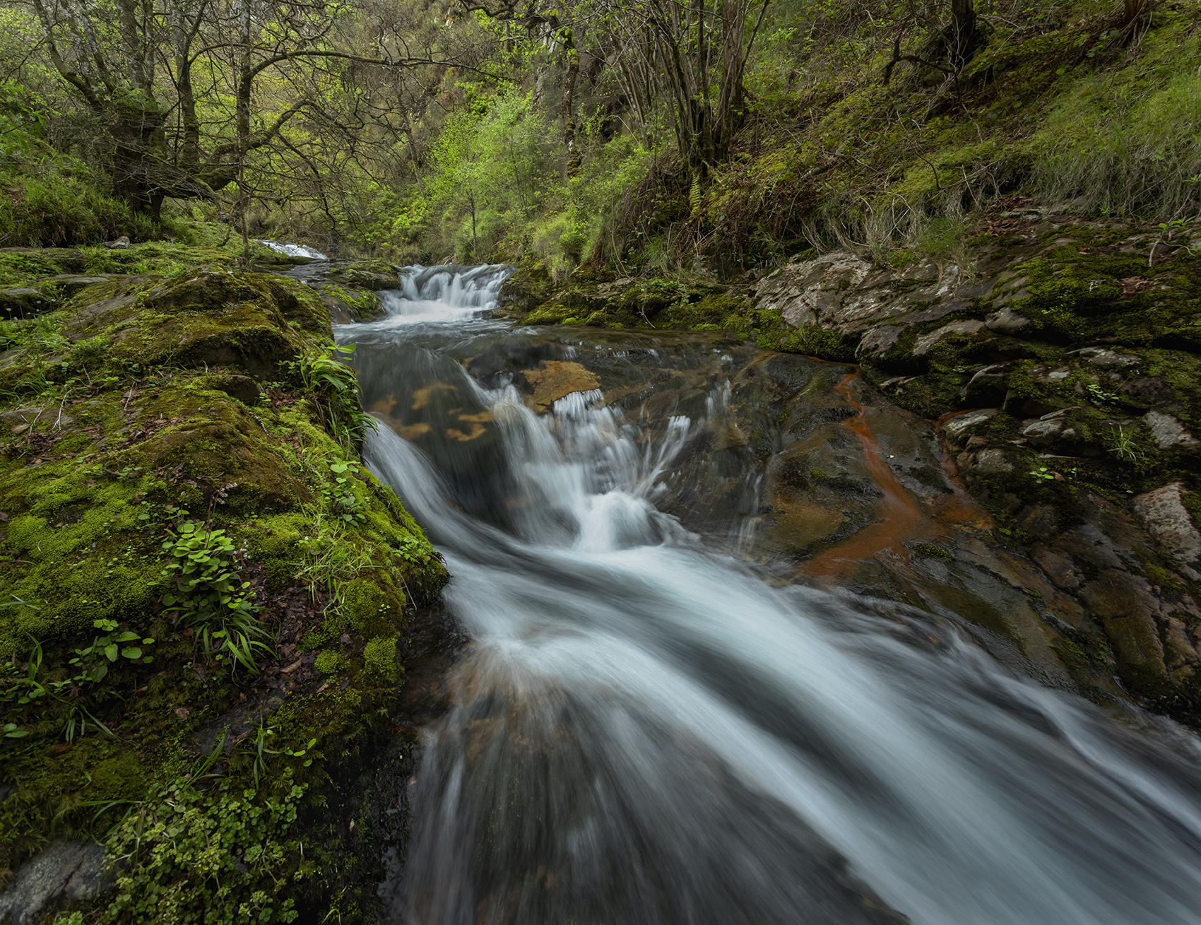 photo, photography, picture, land, landscape, nature, spring, river, color, mood , colorful, green, ,color,nobody,mountains,storm,forest,river, jimenez millan samuel