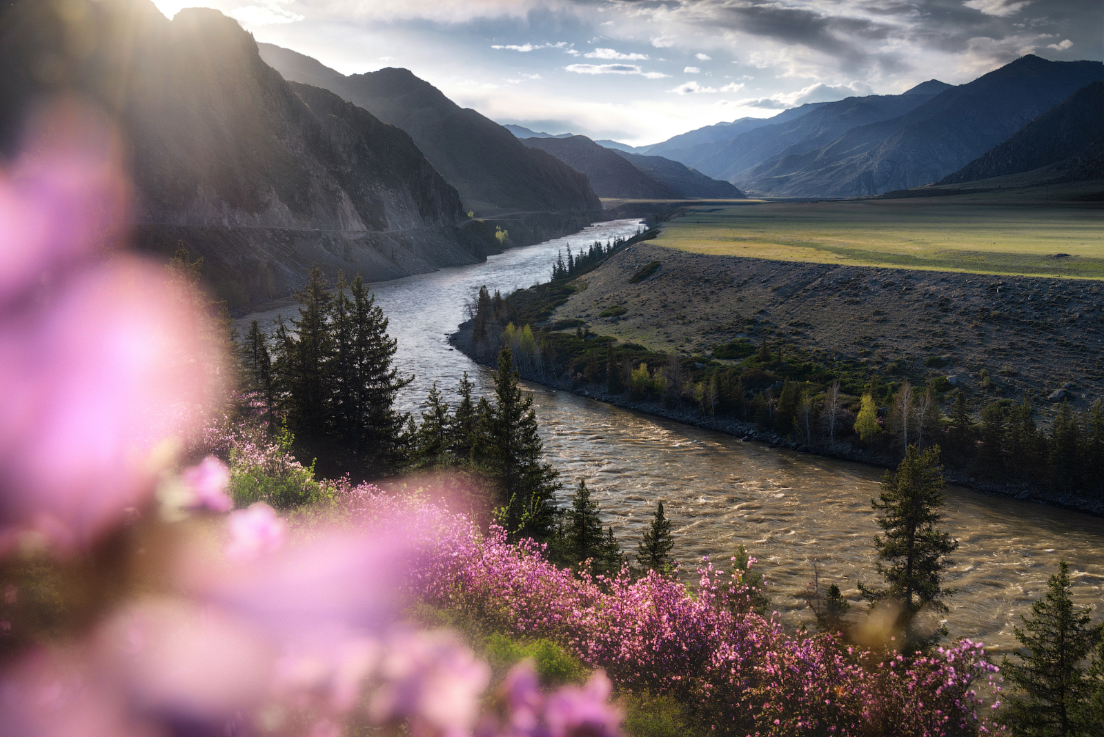 алтай, горный алтай, пейзажи алтая, онгудайский район, горная река, катунь, май, весна, горы, весенний алтай, бомы, катунские террасы, Рубан Елена