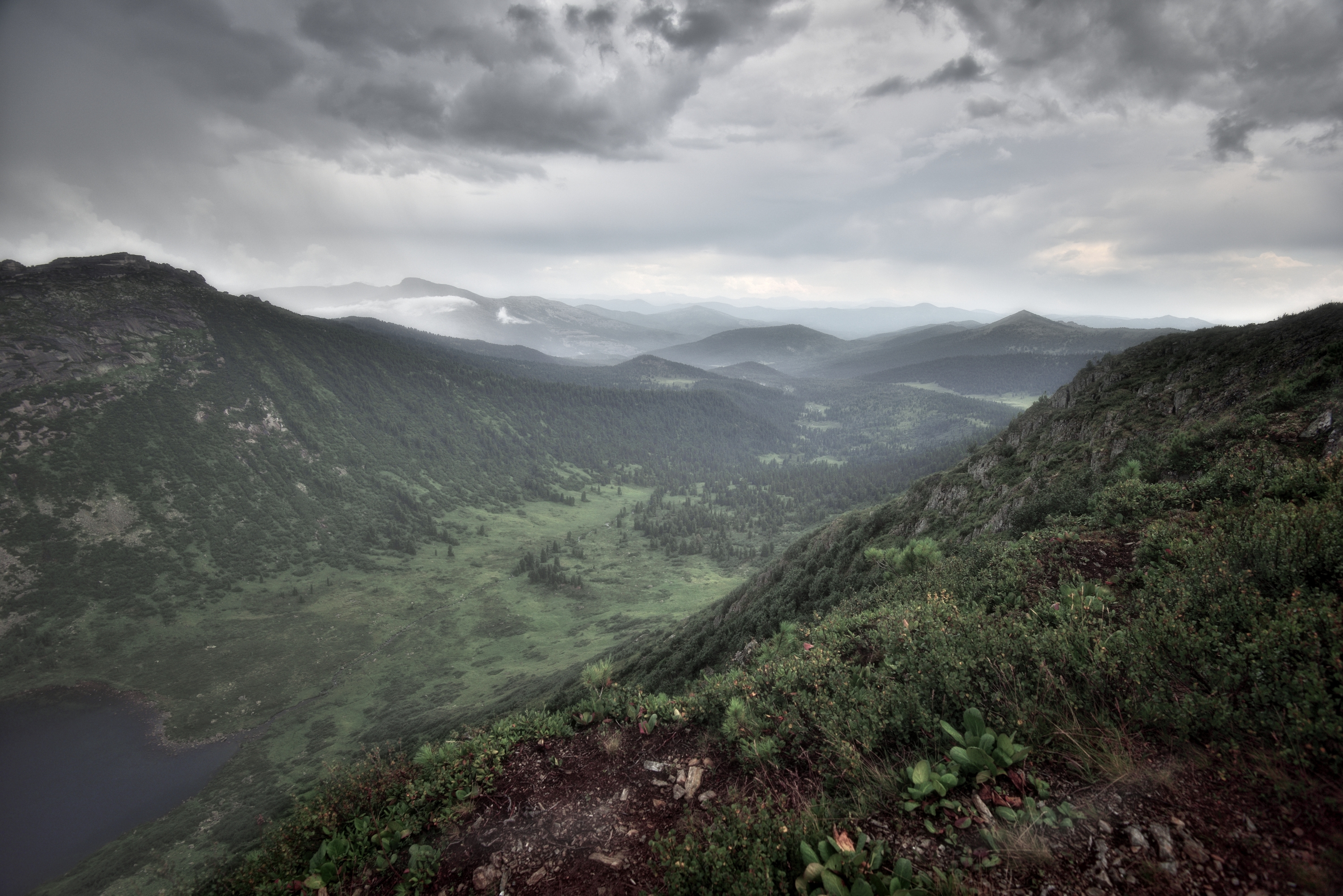 , Алексей Никонов
