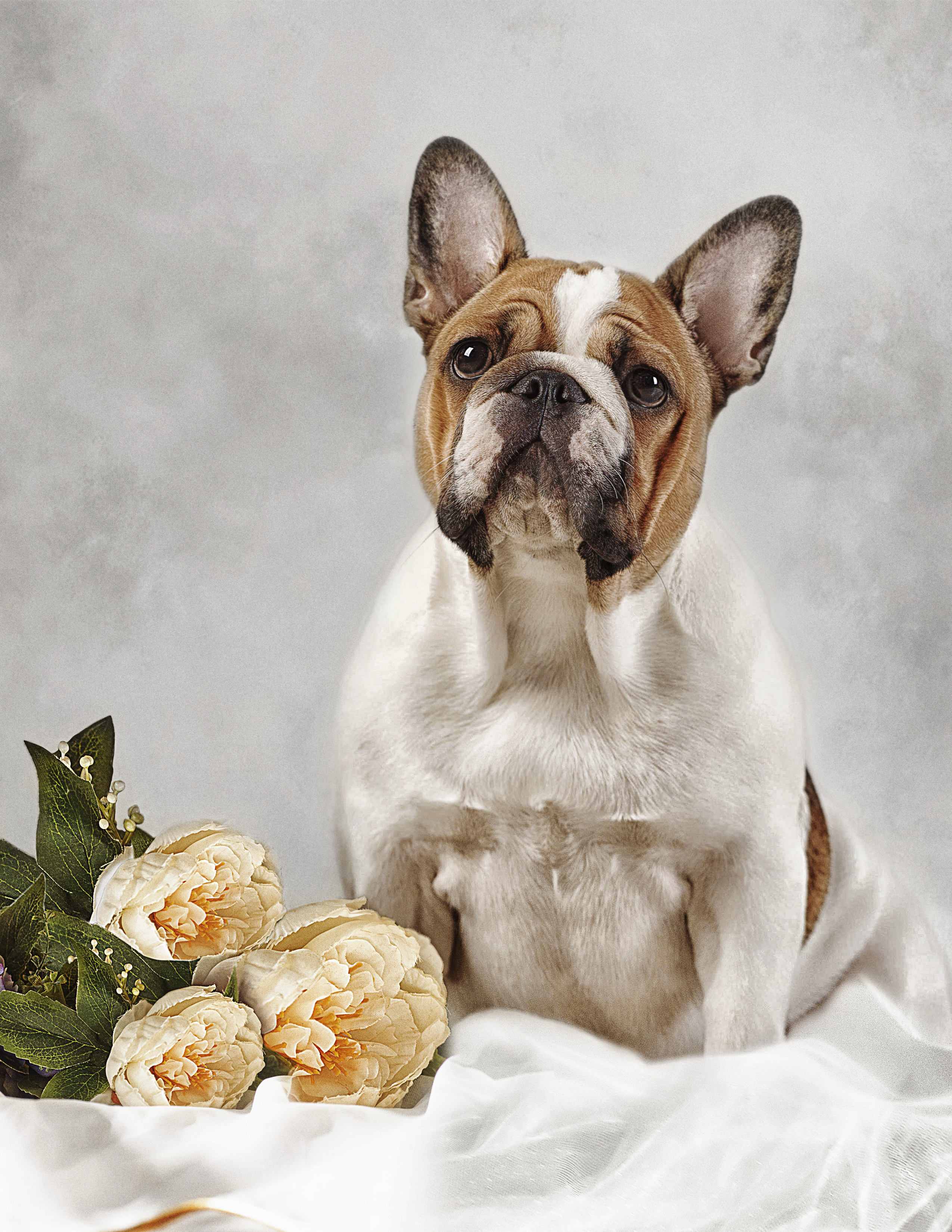 , Софронова Ольга