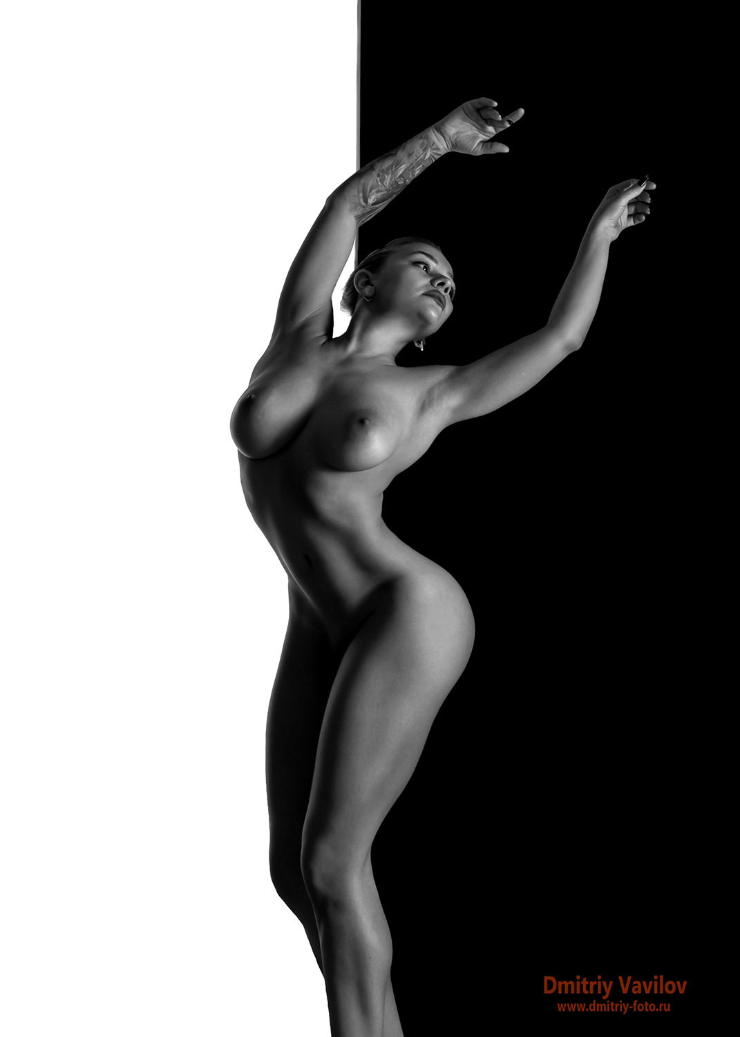 vavilov_foto nude art_nude ню, Дмитрий Вавилов