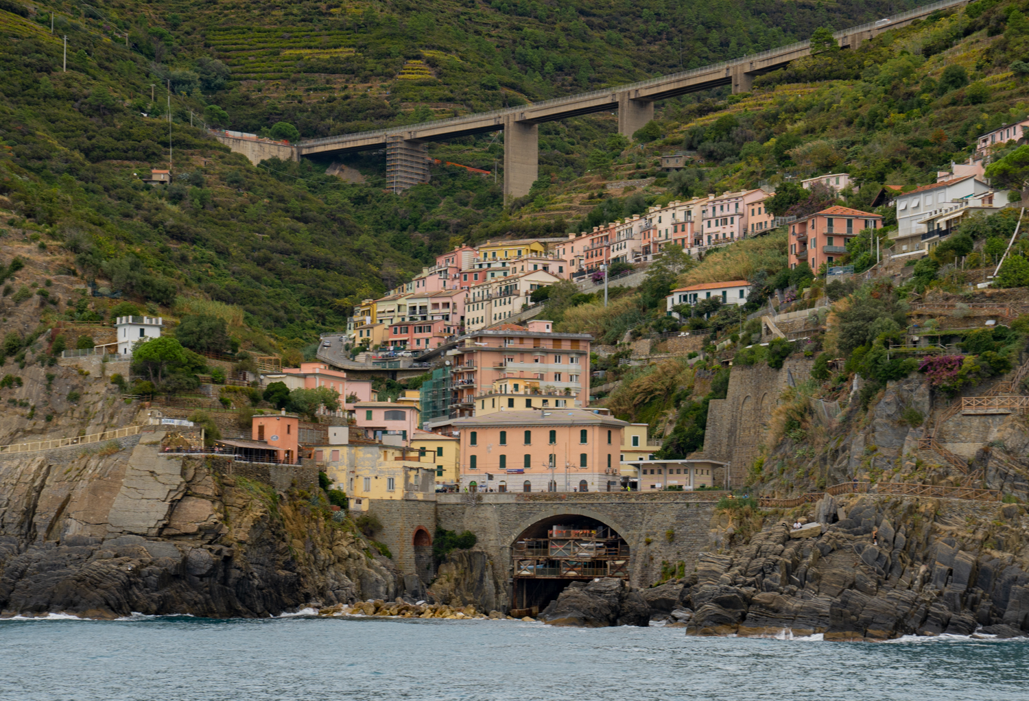 , Дария Максимова