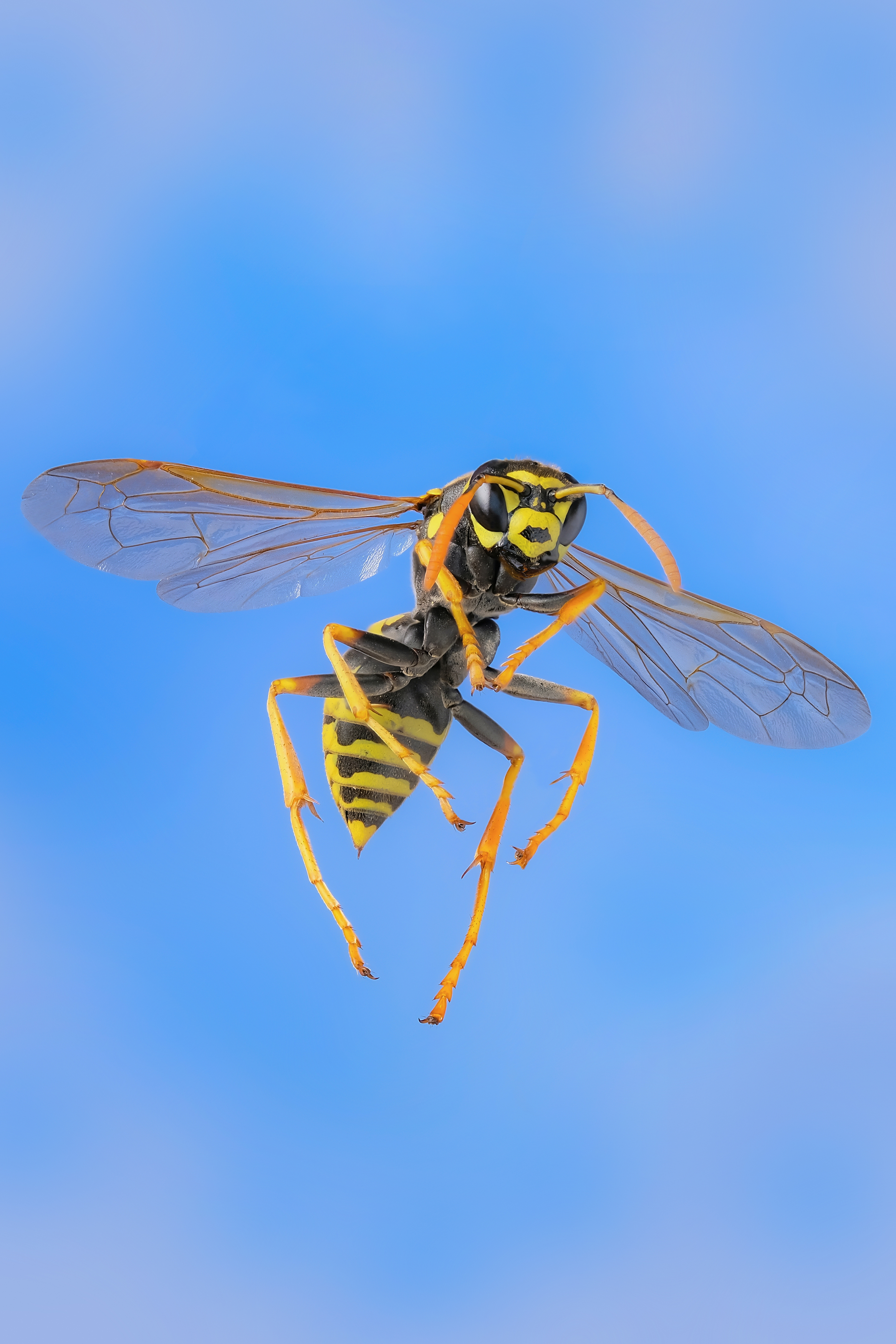 , Васильев Роман