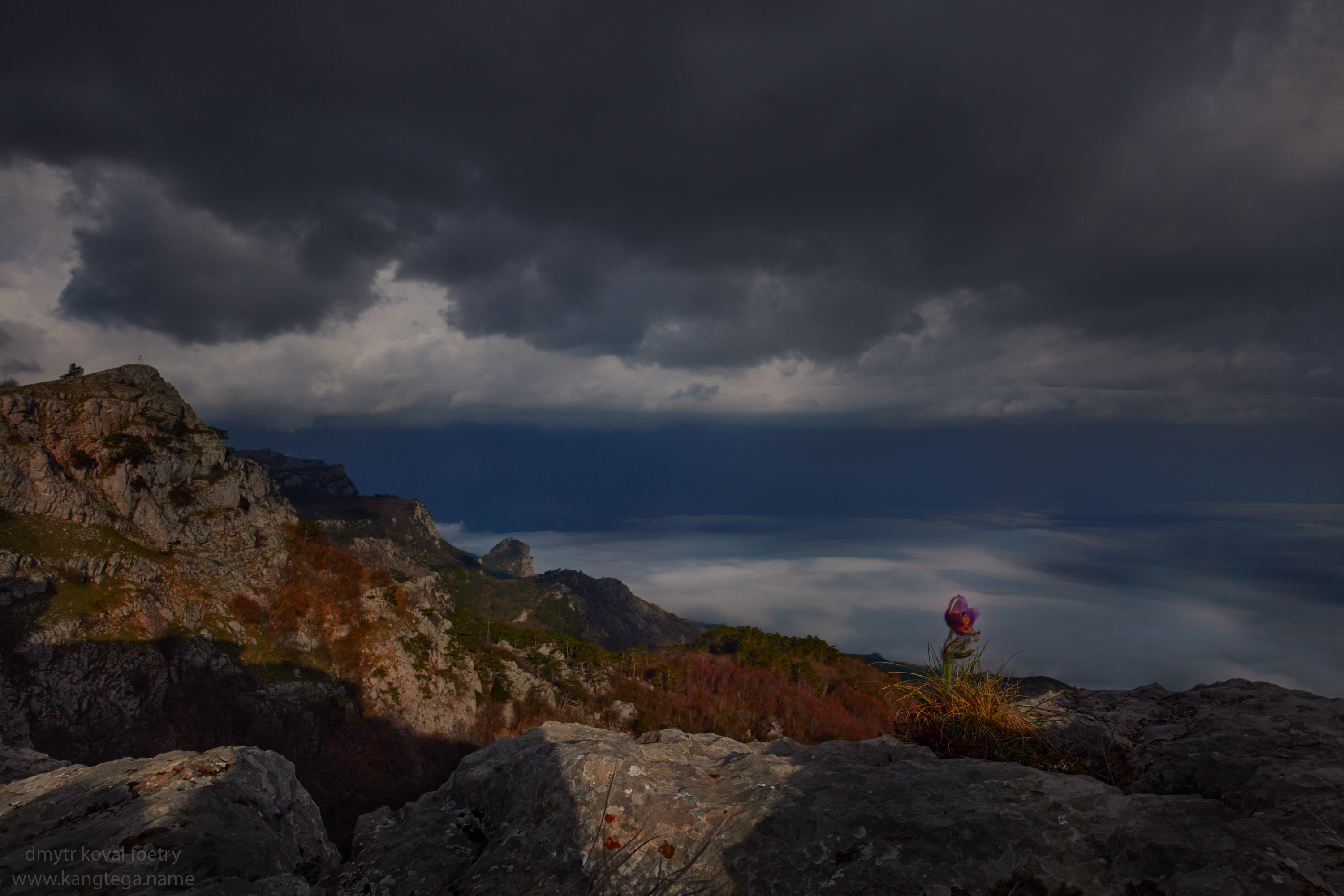 пейзажемагьё, пейзаж-как-виденье, Коваль Дмитр