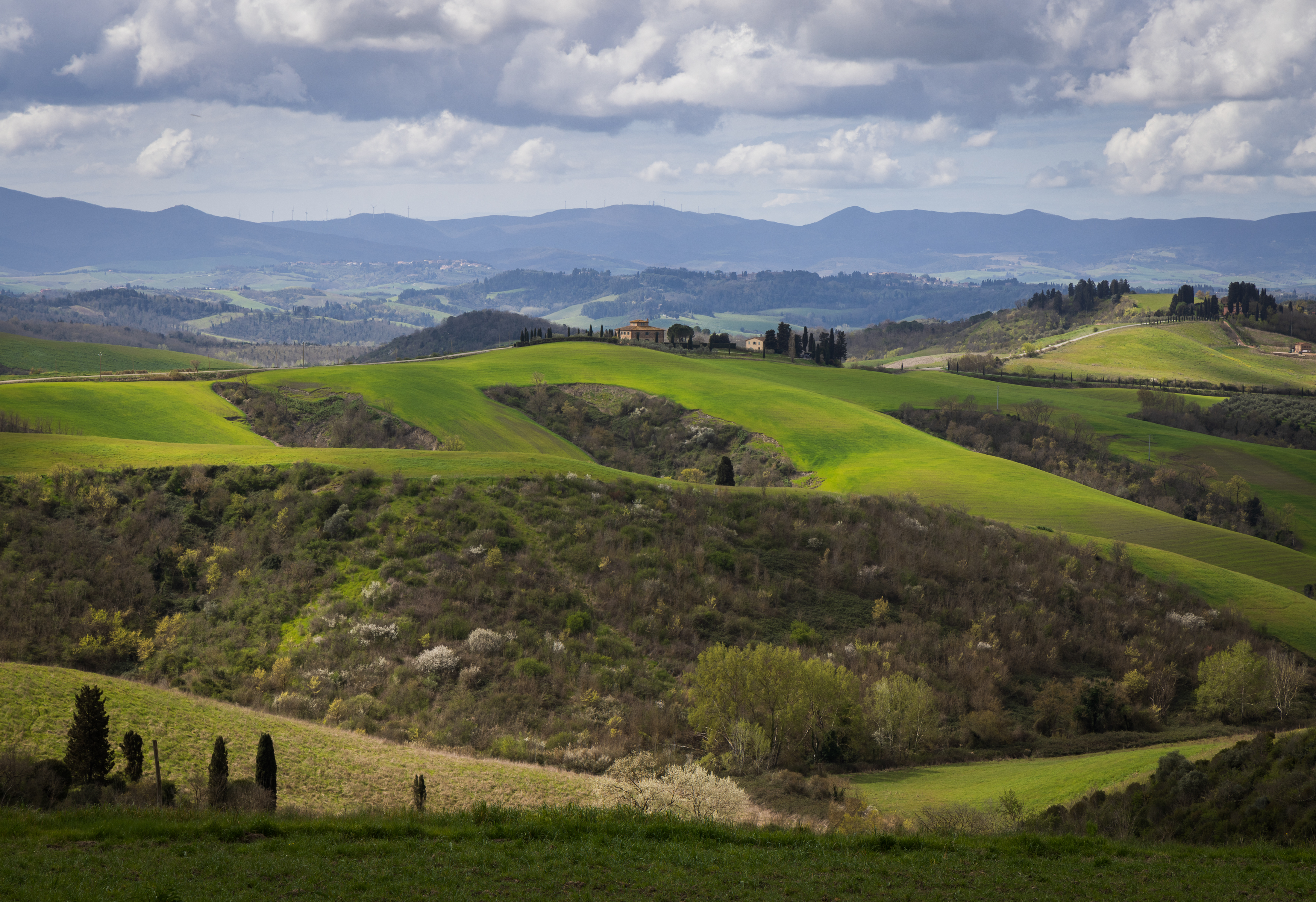 , Алекс Римский