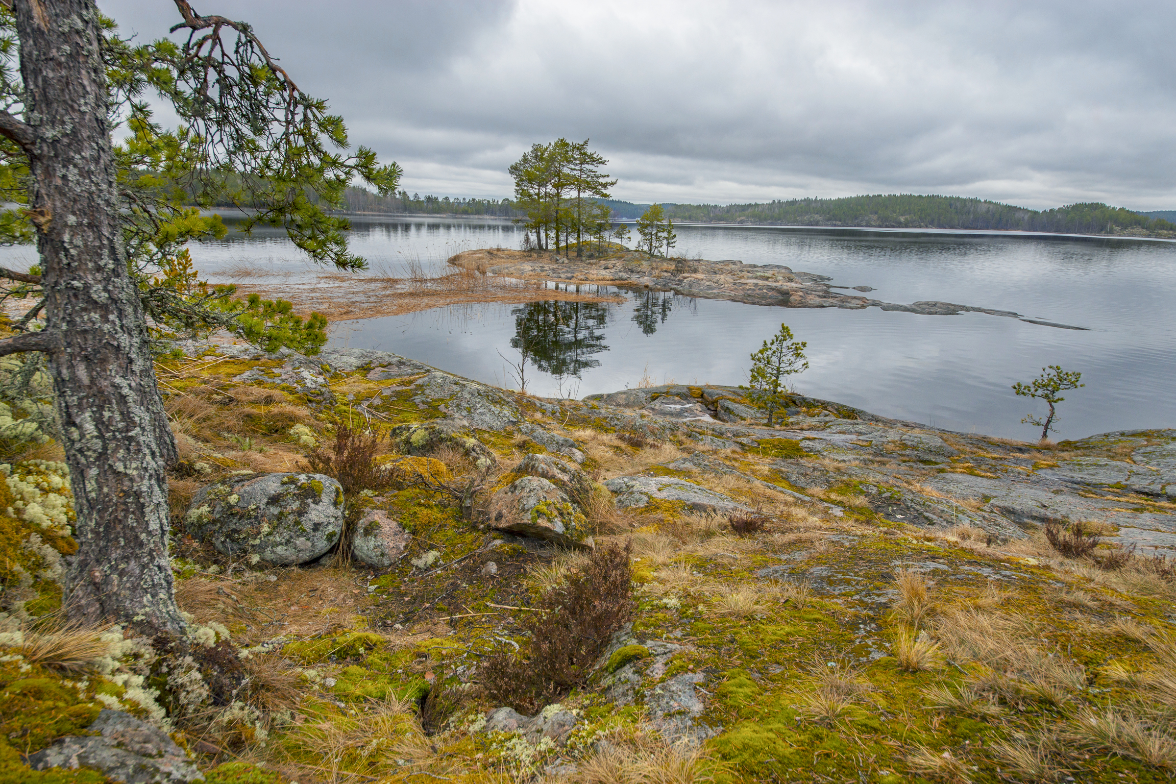 , Петр Косых