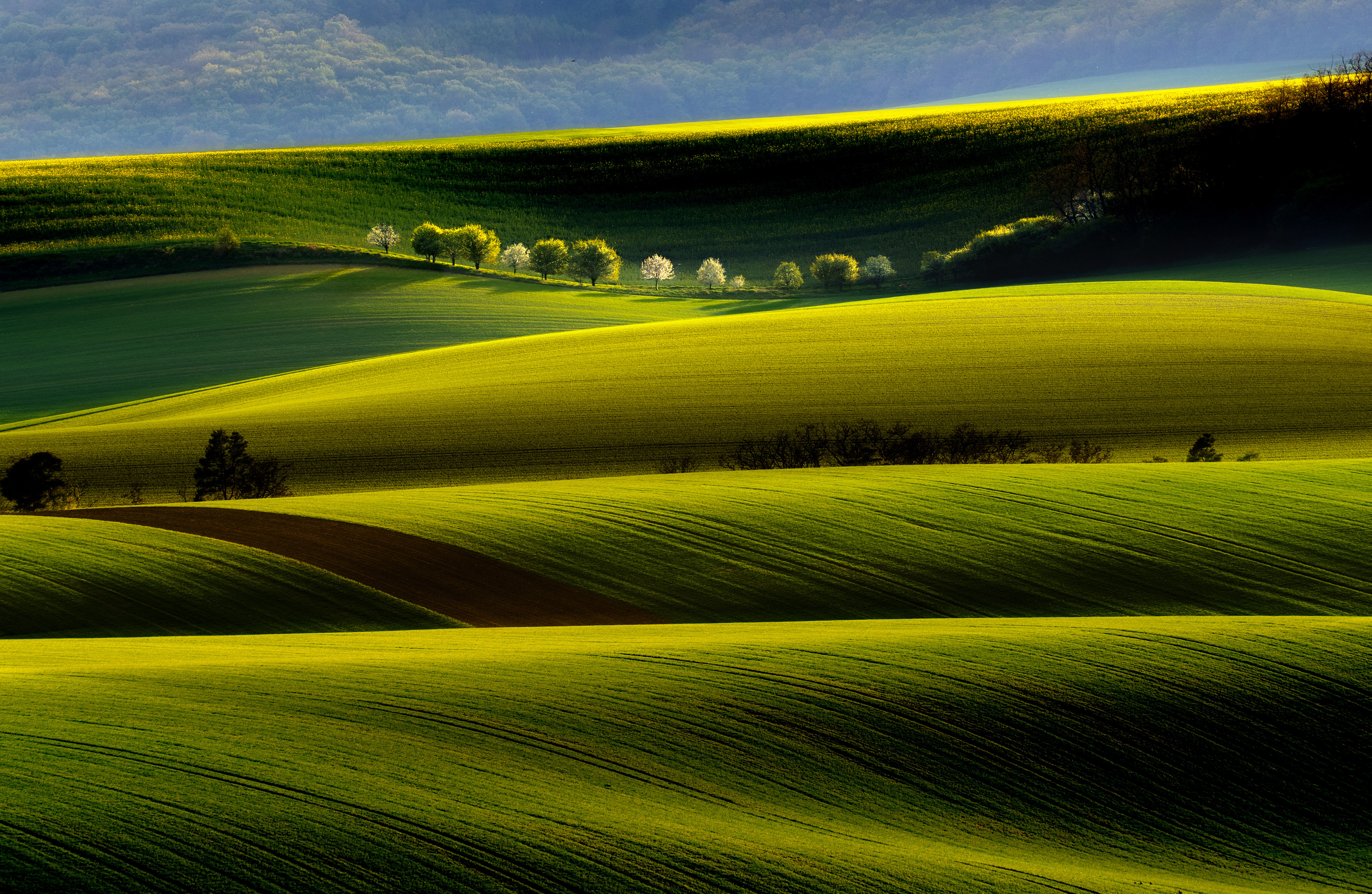 spring, moravia, czech, , Stanislav Judas