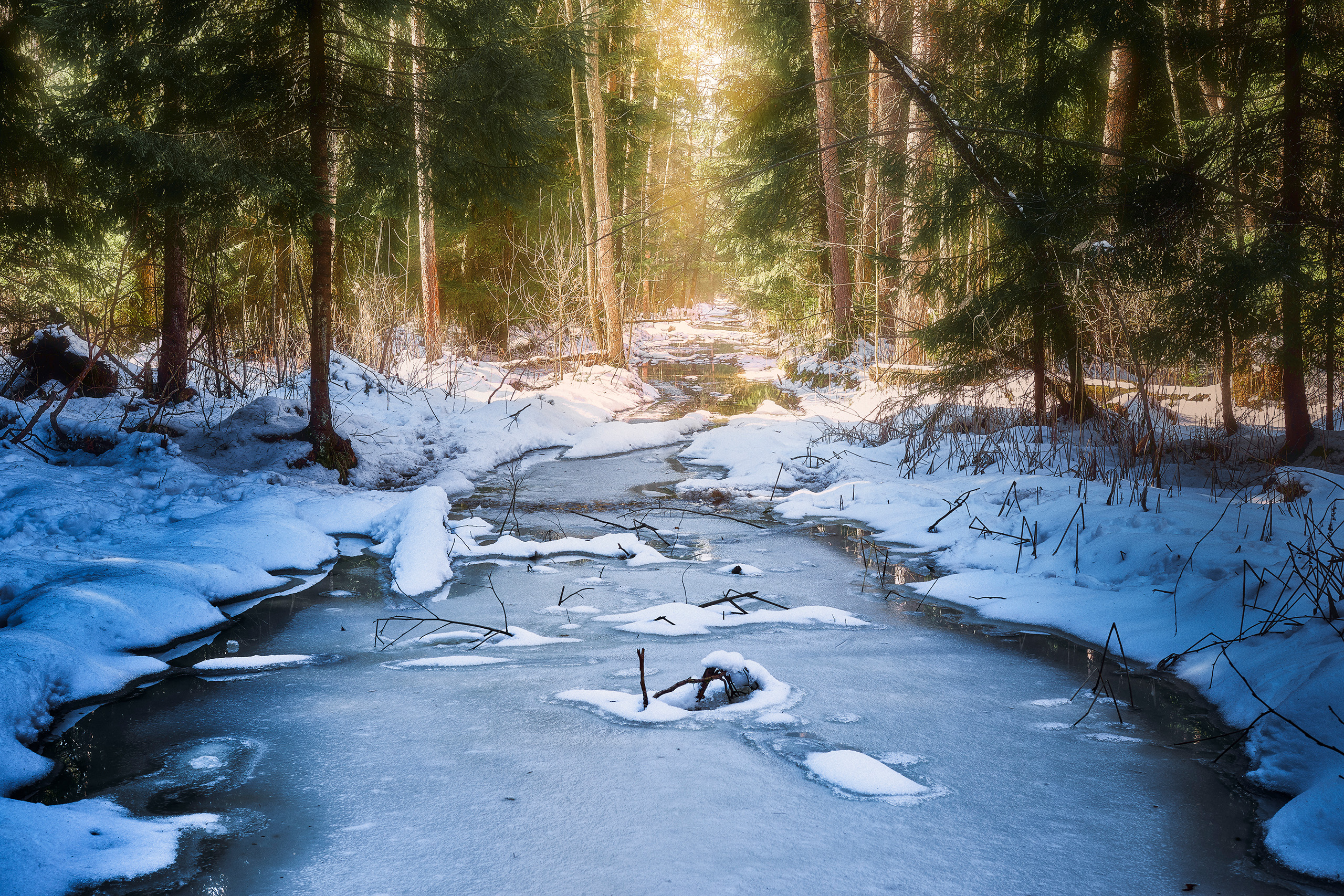 лес, снег, весна, Валерий Вождаев