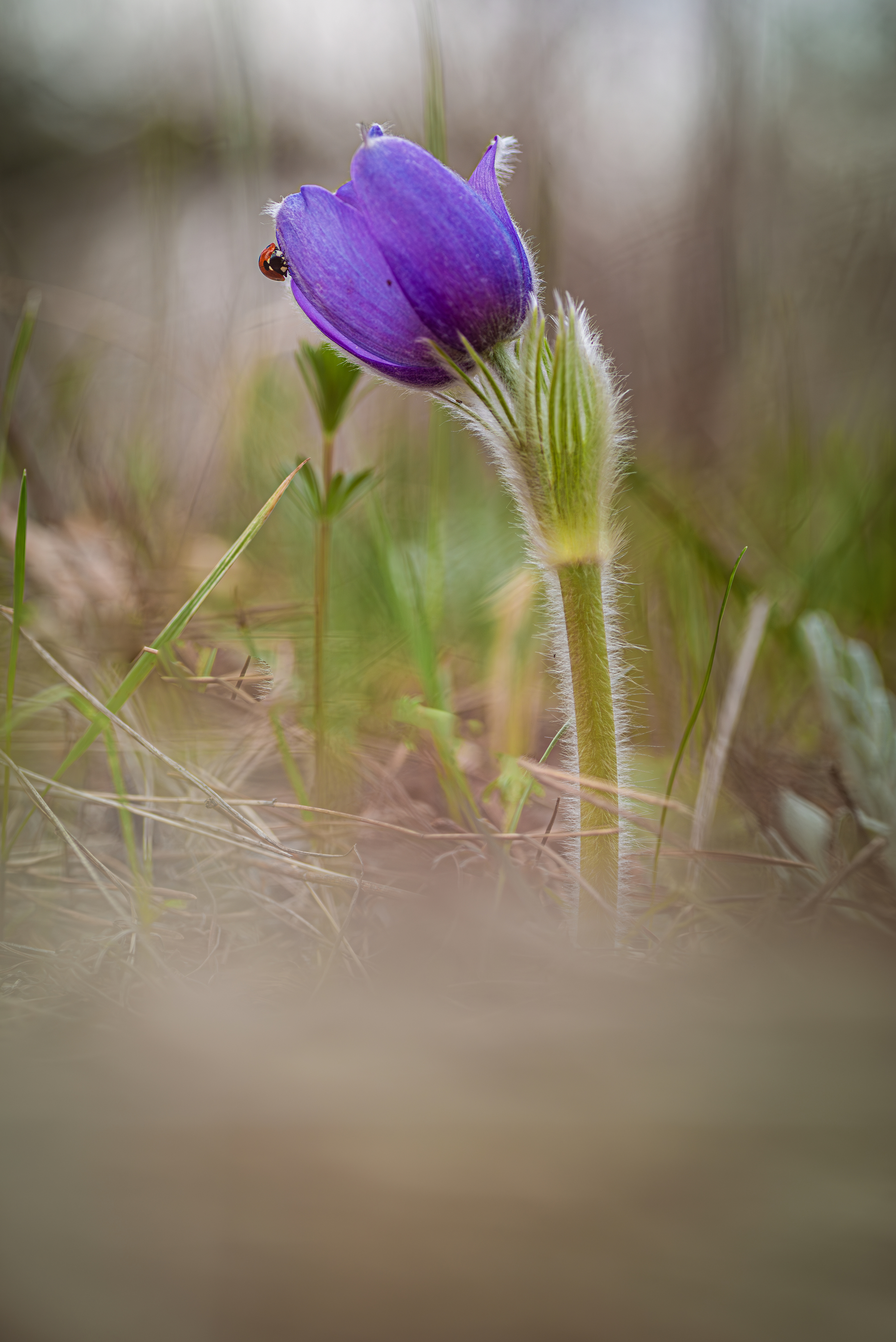 , Зайцев Роман