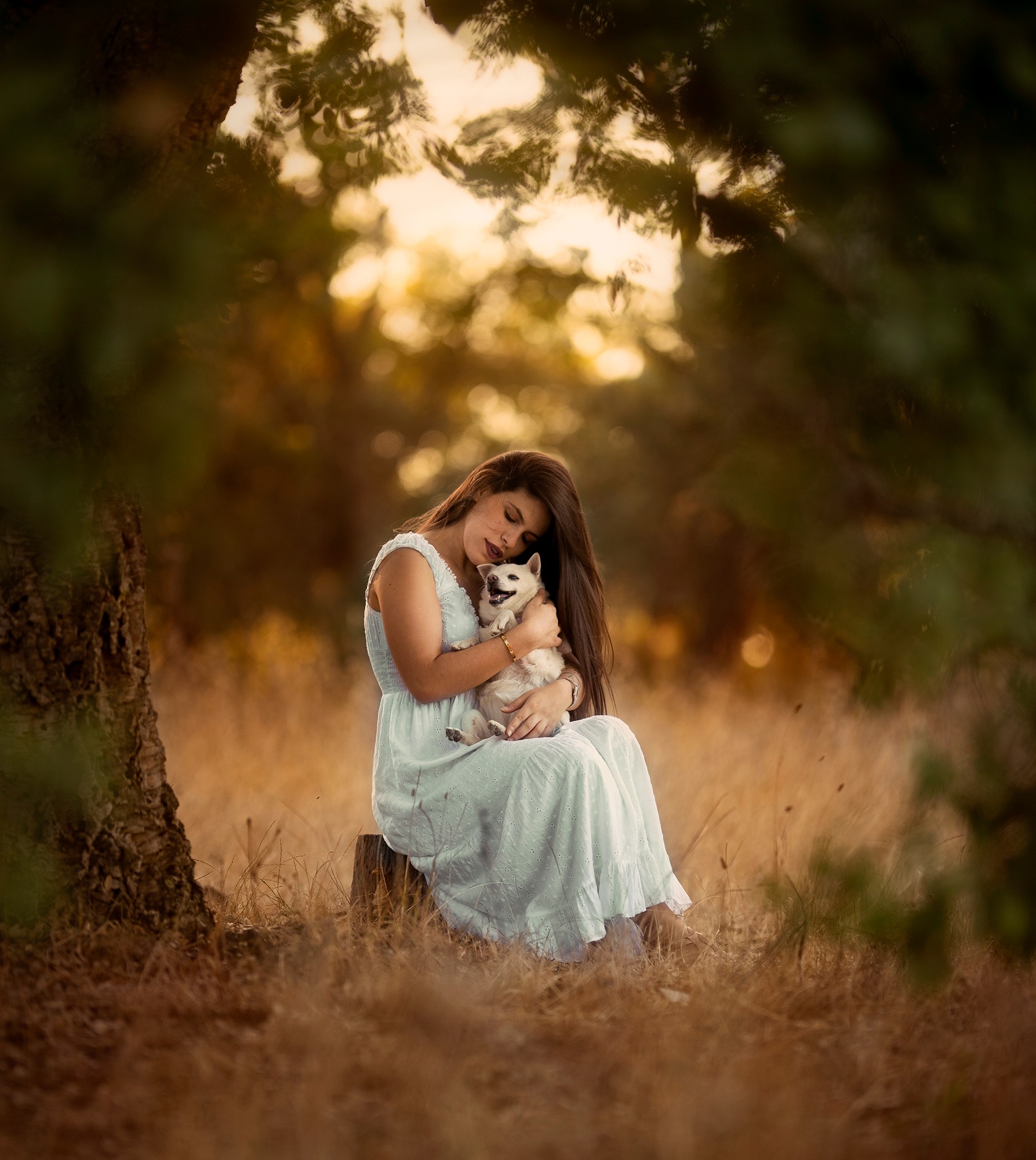 dogs,pets,golden,hour,flowers,backlight,camp,chihuahua,old,little,dress,natural light,photography,portrait,warm,colors,smile,outdoor,fun,woman,friendship, Alexandre Marques