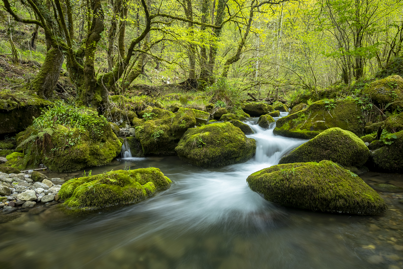 photography, mountain, spring, flower, landscape, photo, awakening, flowers, land, landmark, lands, soft ligth, ligth, mountains, photo, river, jimenez millan samuel