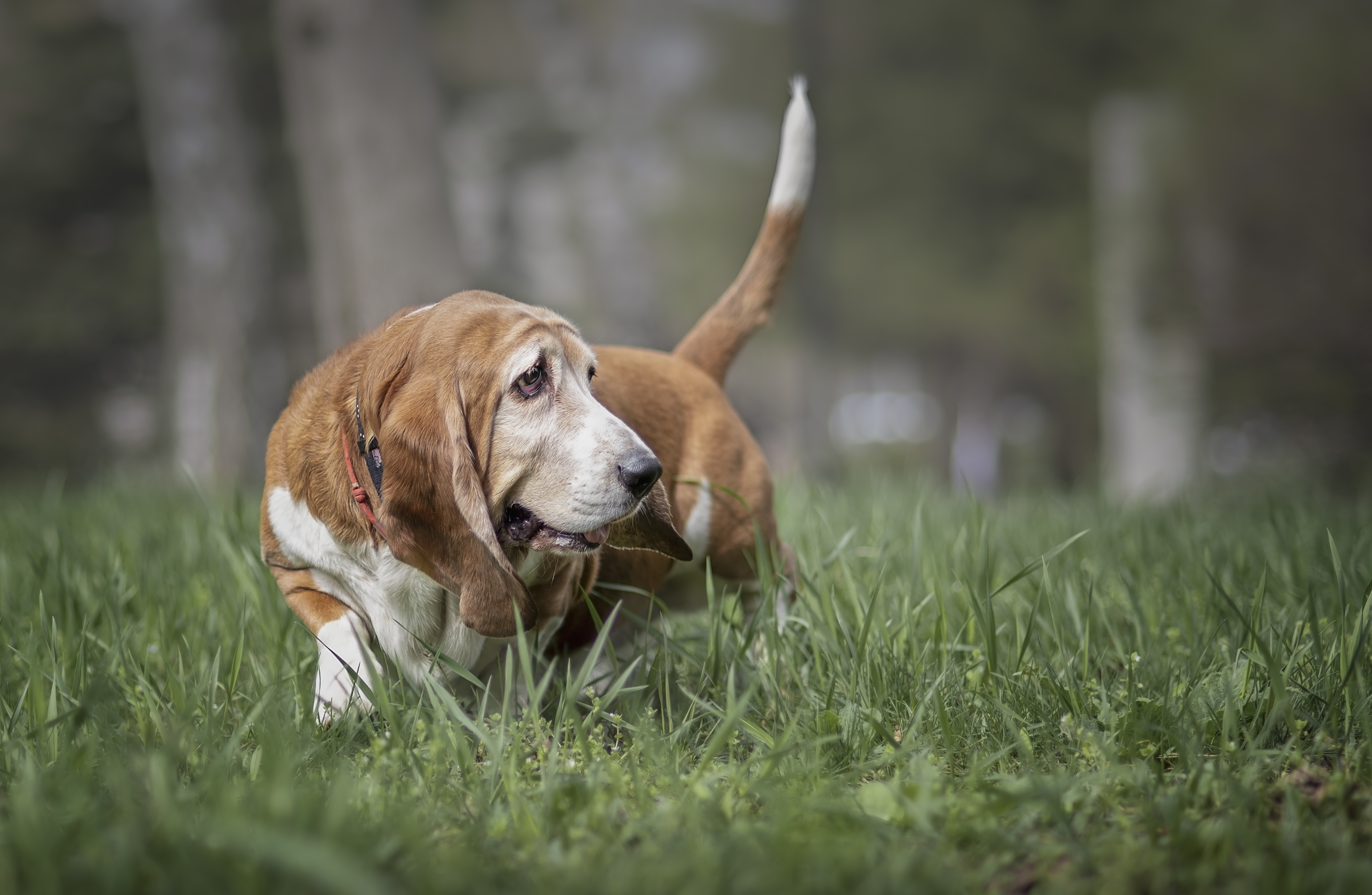 , Яна Кудлай