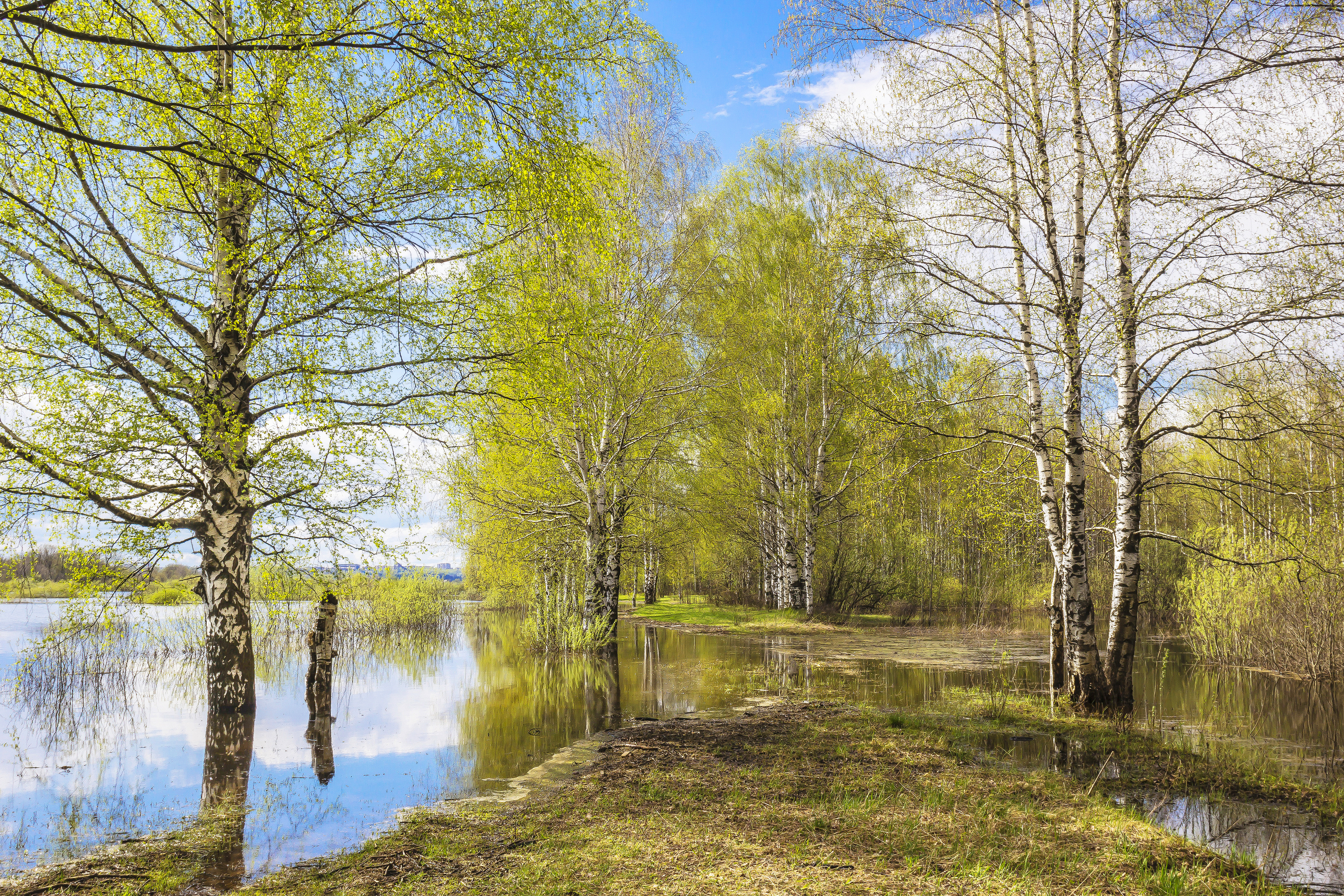 Весна, половодье, разлив, галина новинская