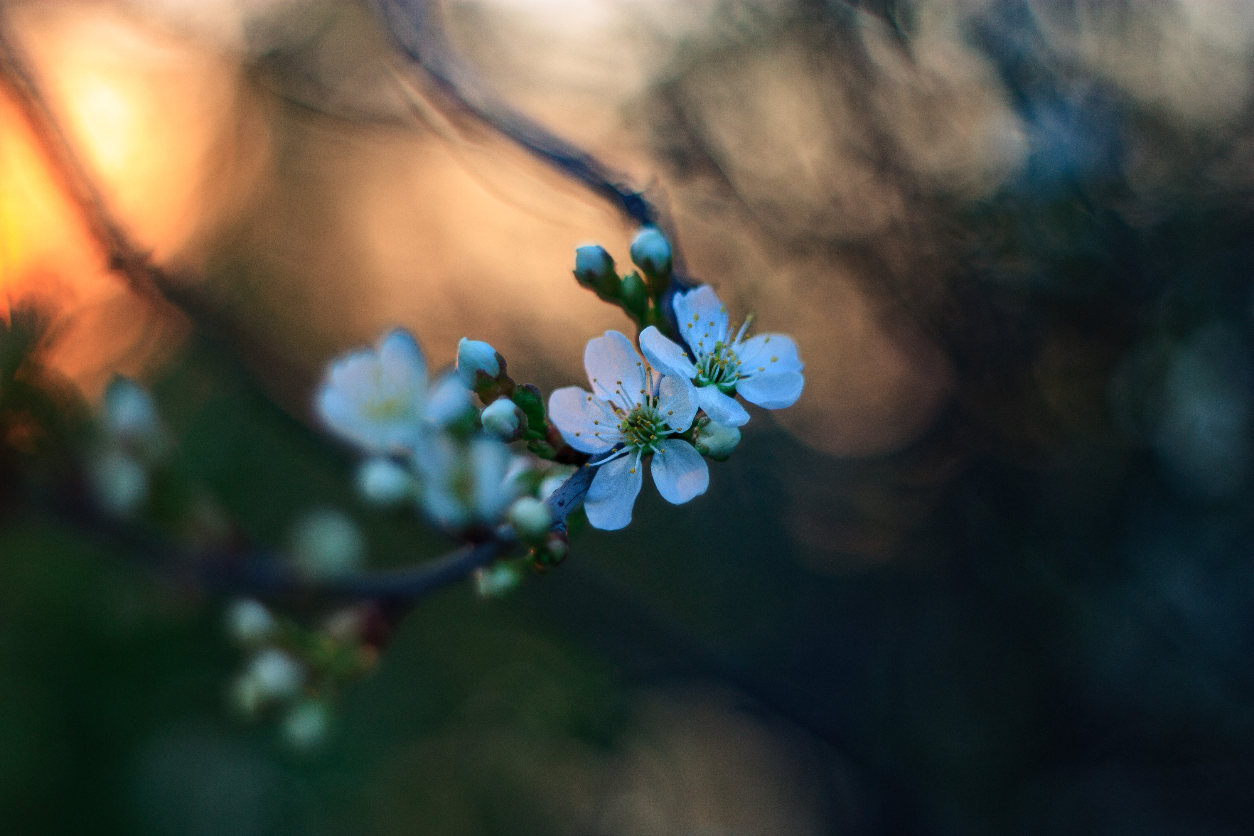 , Лофицкая Лариса