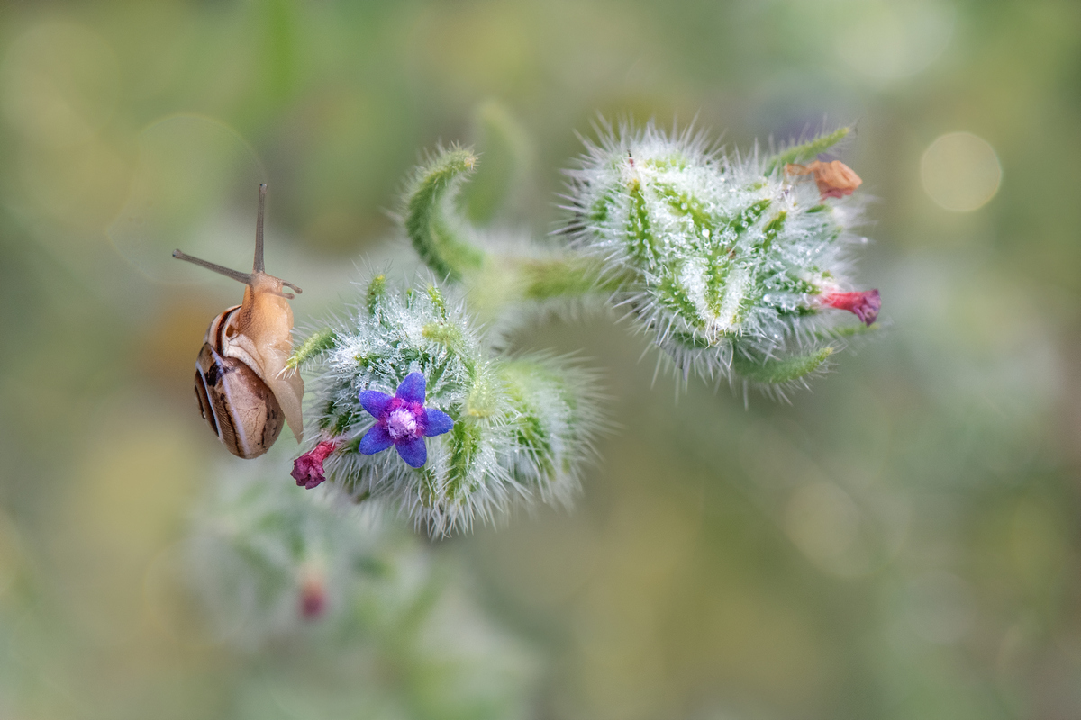 , Людмила Бекман
