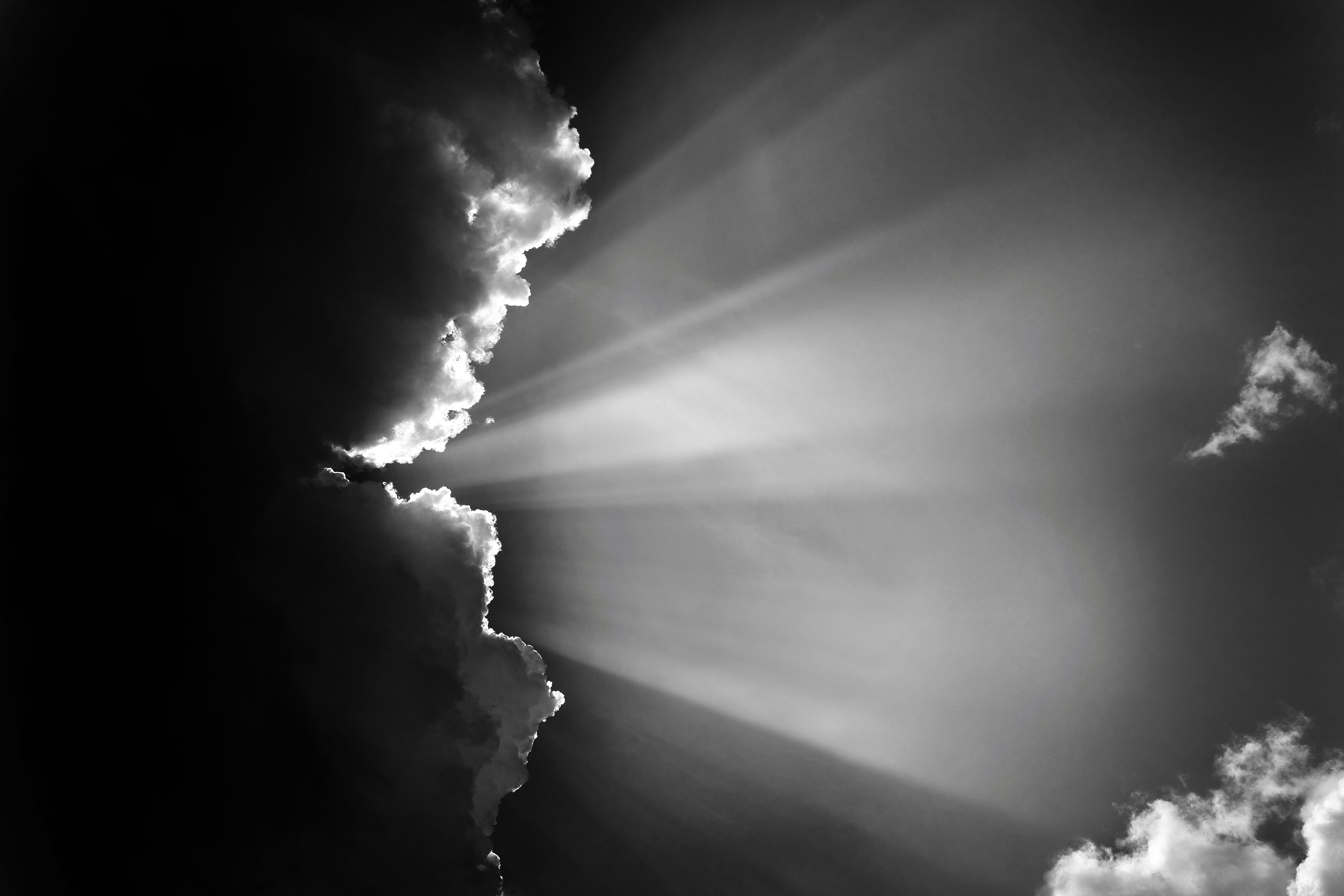 Свет, облако, Зорин Миша