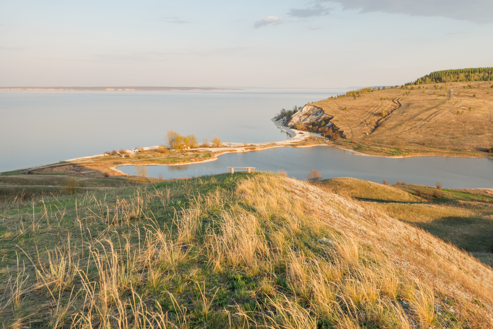 , Алексей Проняхин