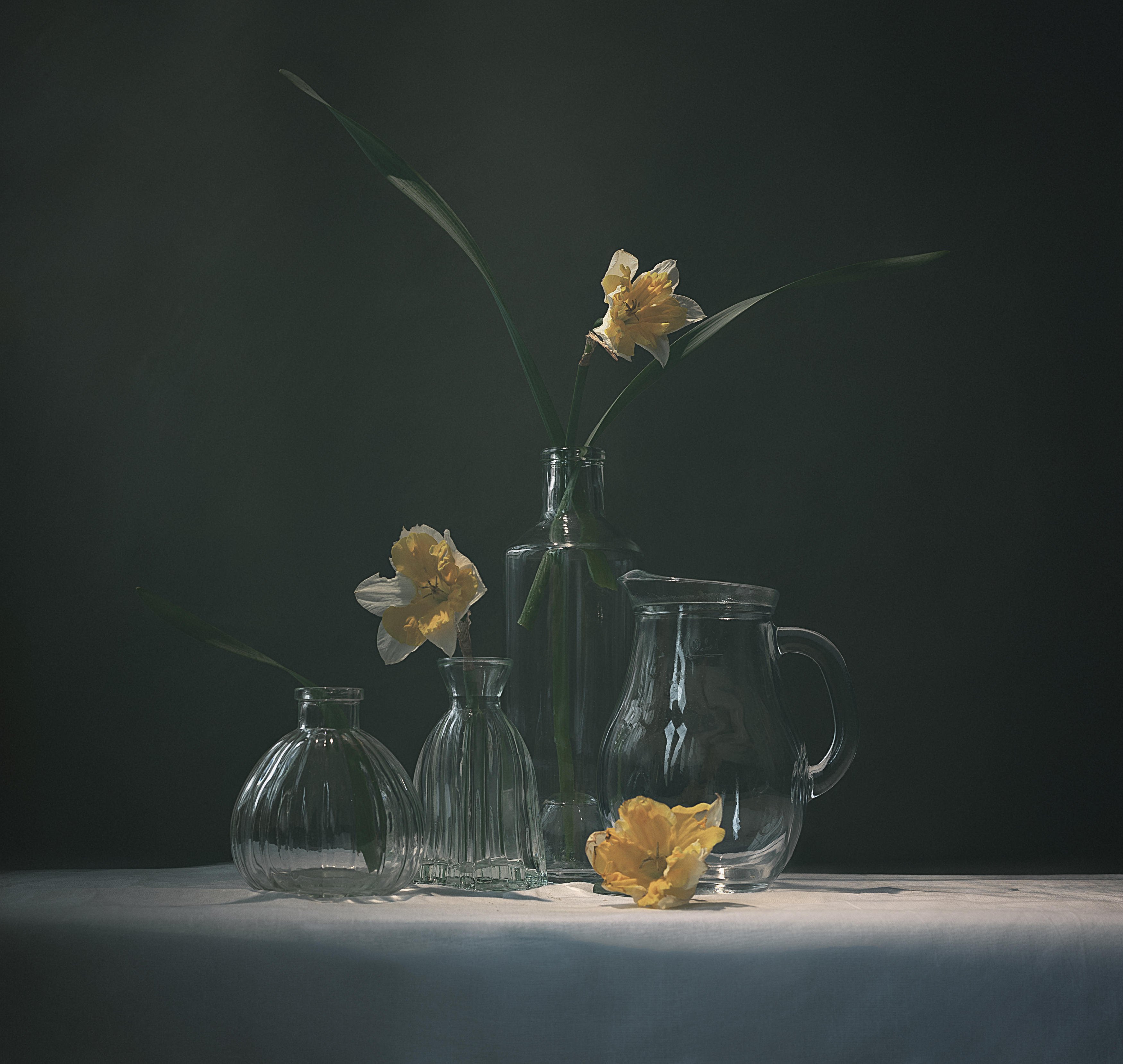 , Александра