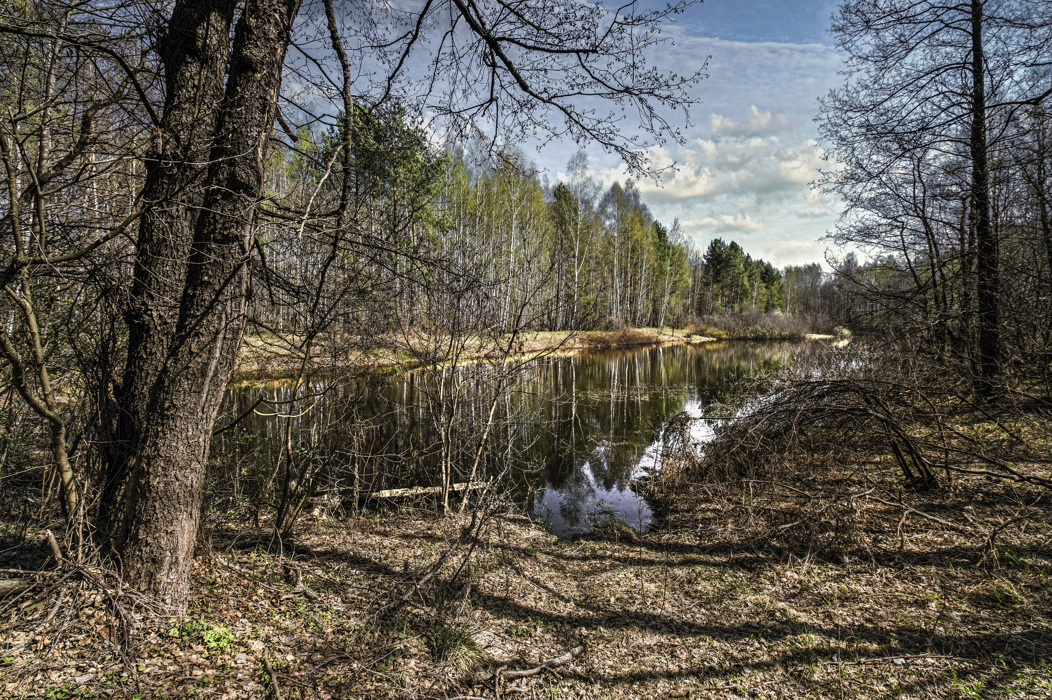 , Шитов Александр