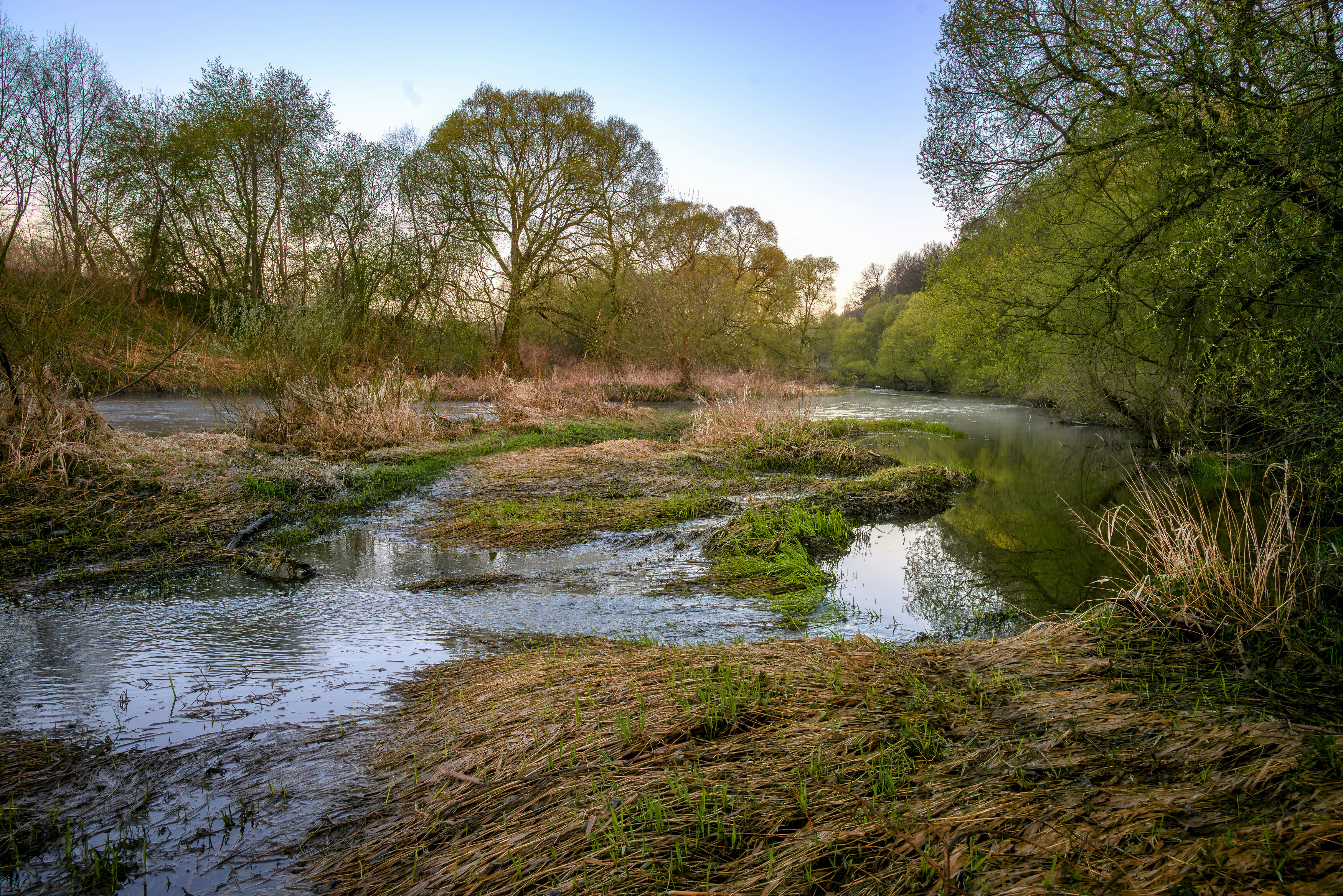 , Сережин Сережа