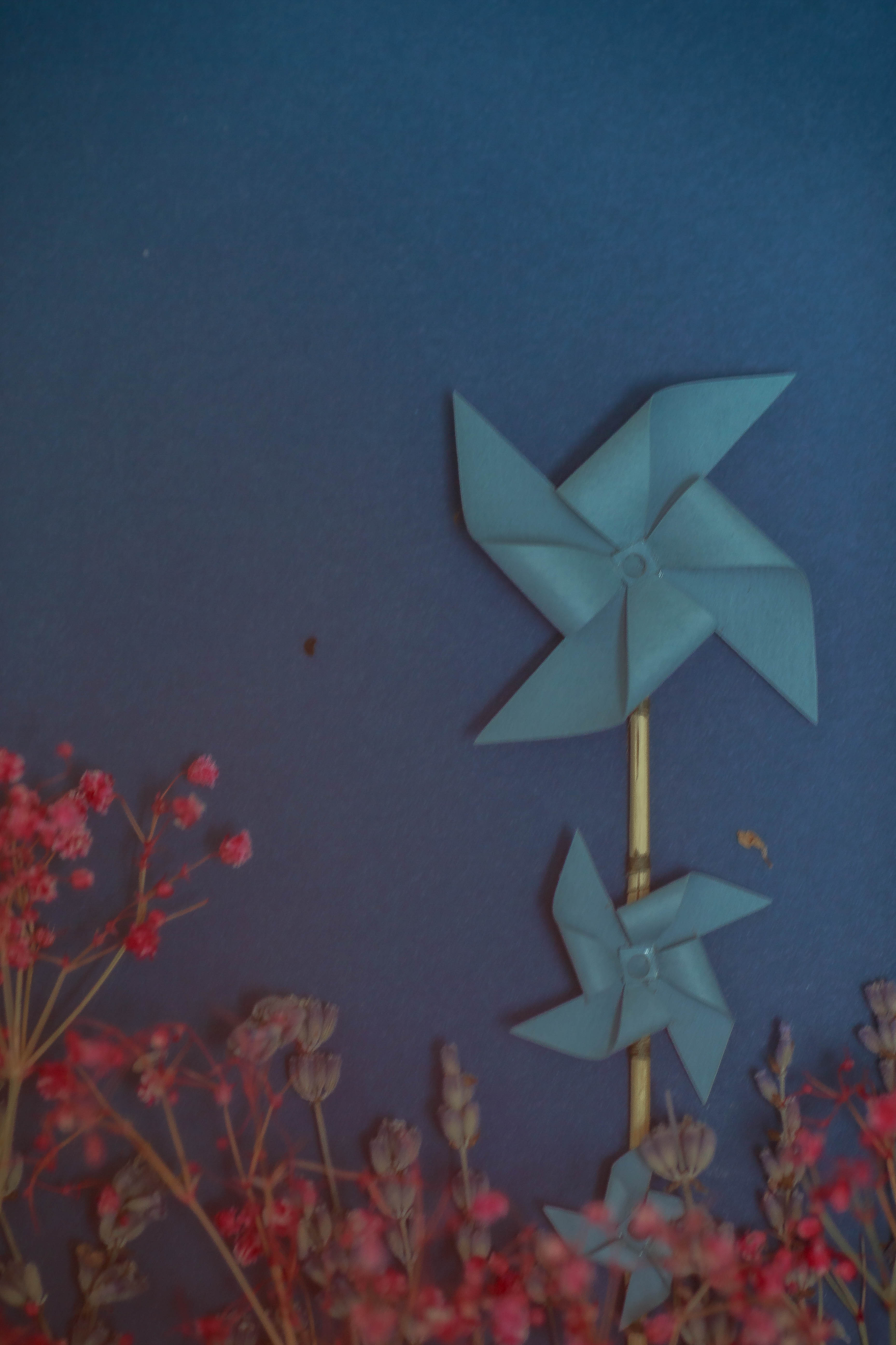 , Александр По