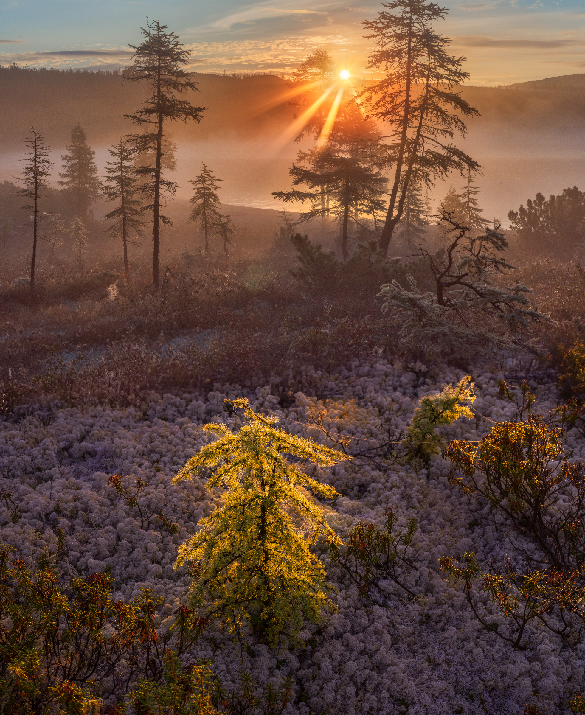 фототуры с владимиром рябковым, #topnature #russpasibo #magic_shots #lovelyrussia #sunset_vision #exclusive_sky  #exclusive_shots #loves_russia2 #photoarena_nature #nature_sultans #nature_perfection #rsa_sky #rsa_sunset #photorussia #rsa_naturepics #sunse, Владимир Рябков