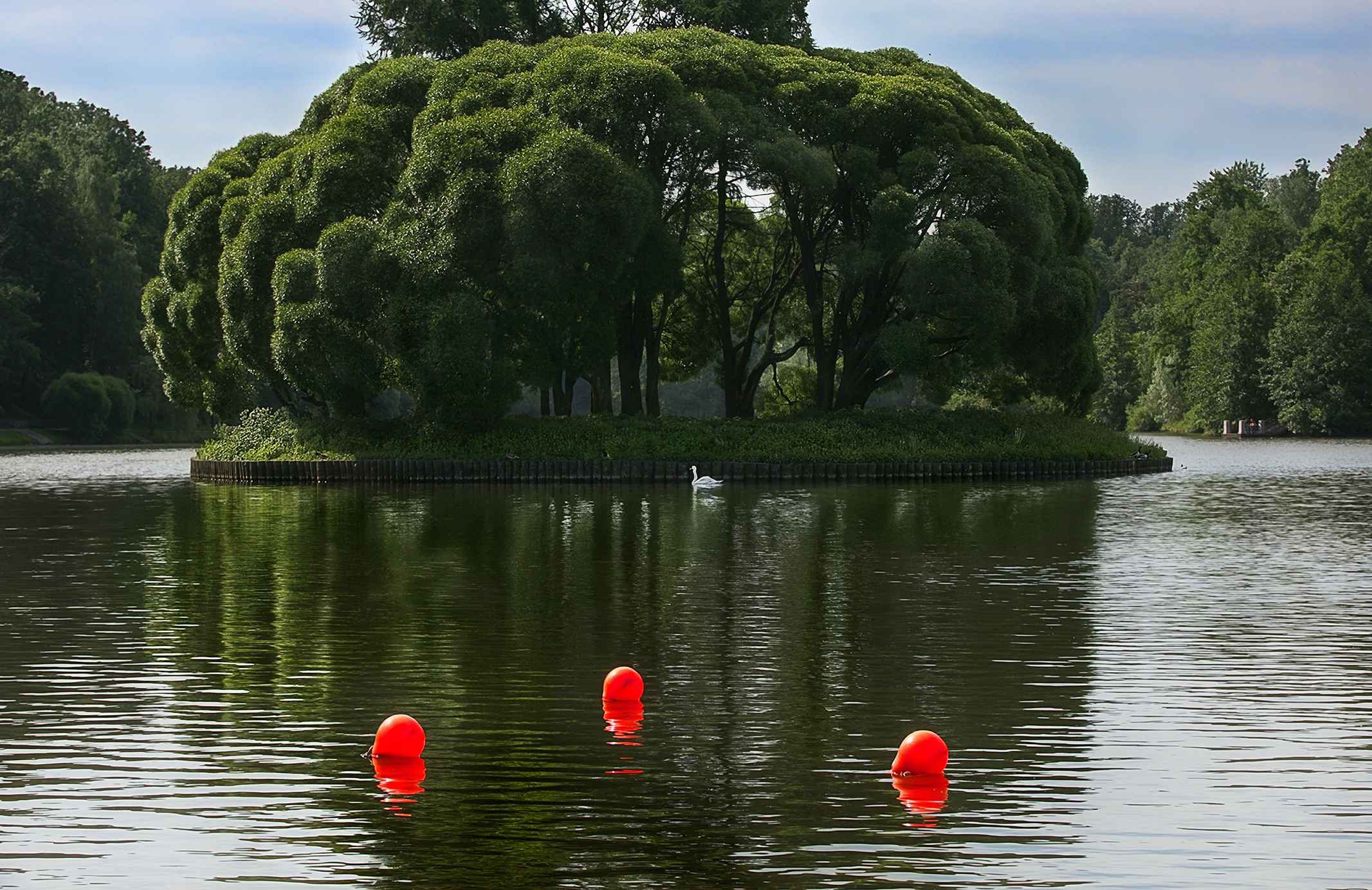 парк, царицыно, Vera Trandina
