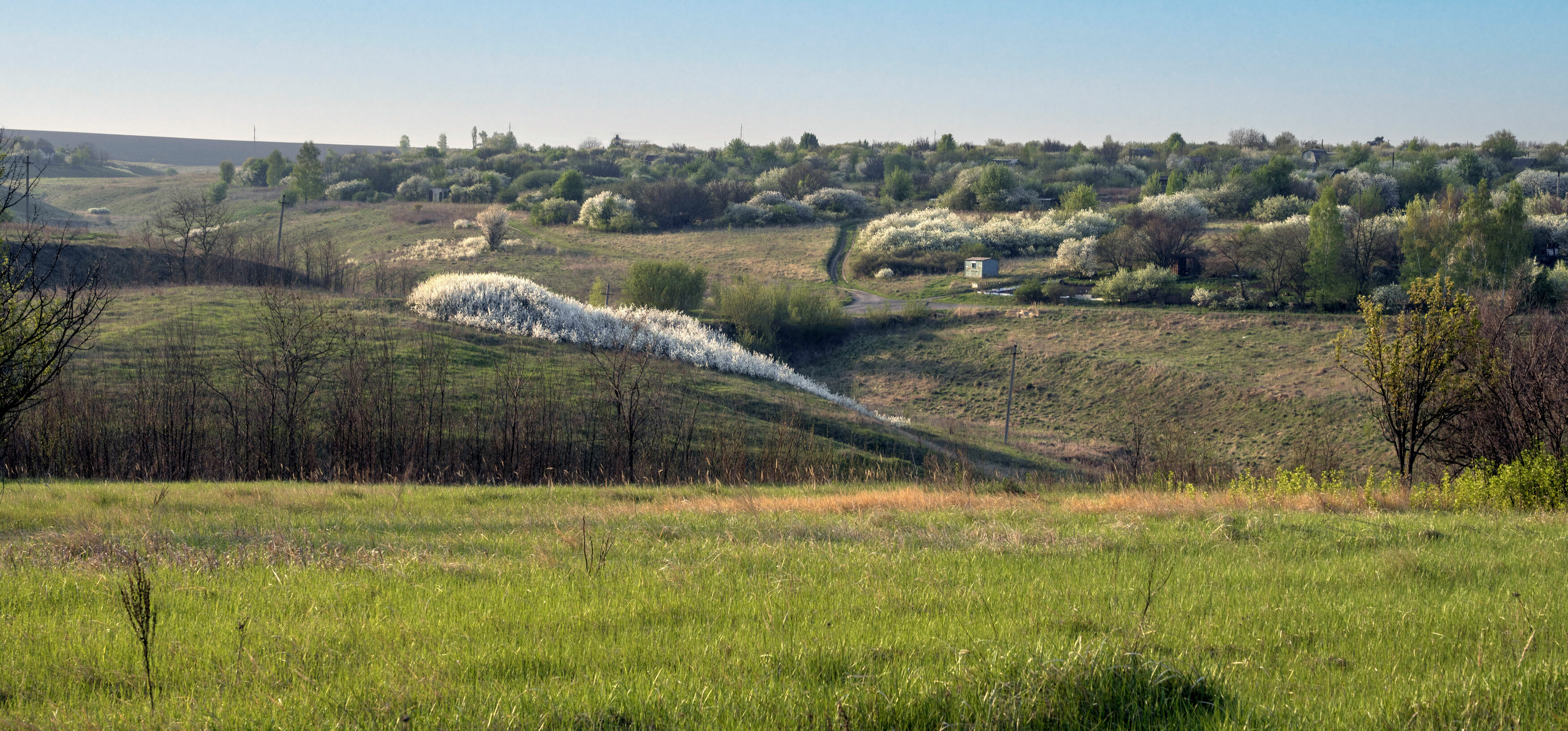 , Каменев Виталий