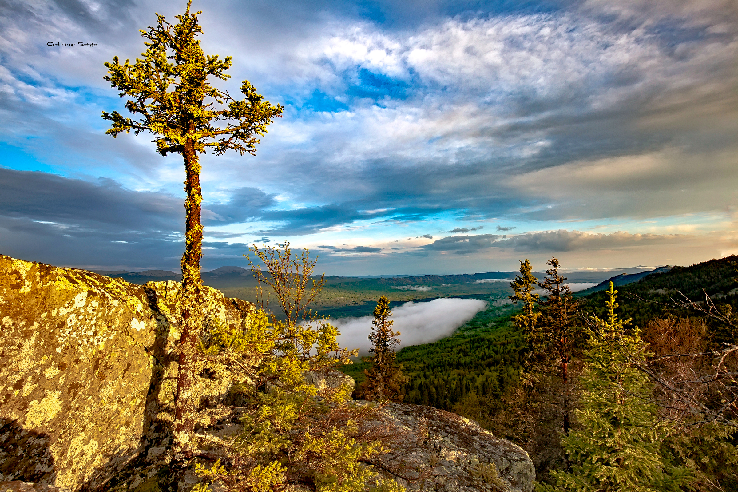 , Евдокимов Сергей