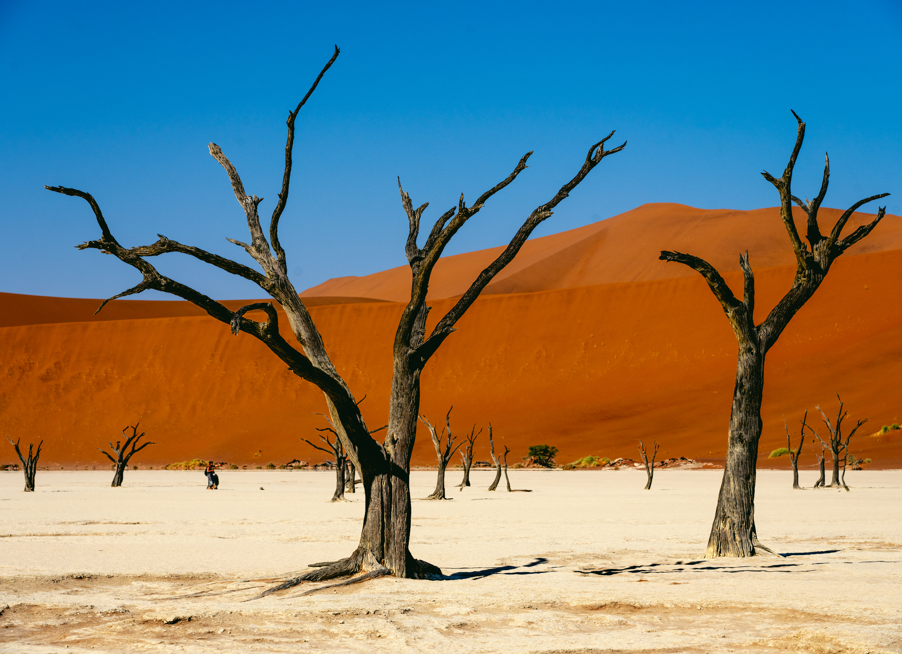 пустыня, Шашкова Вероника