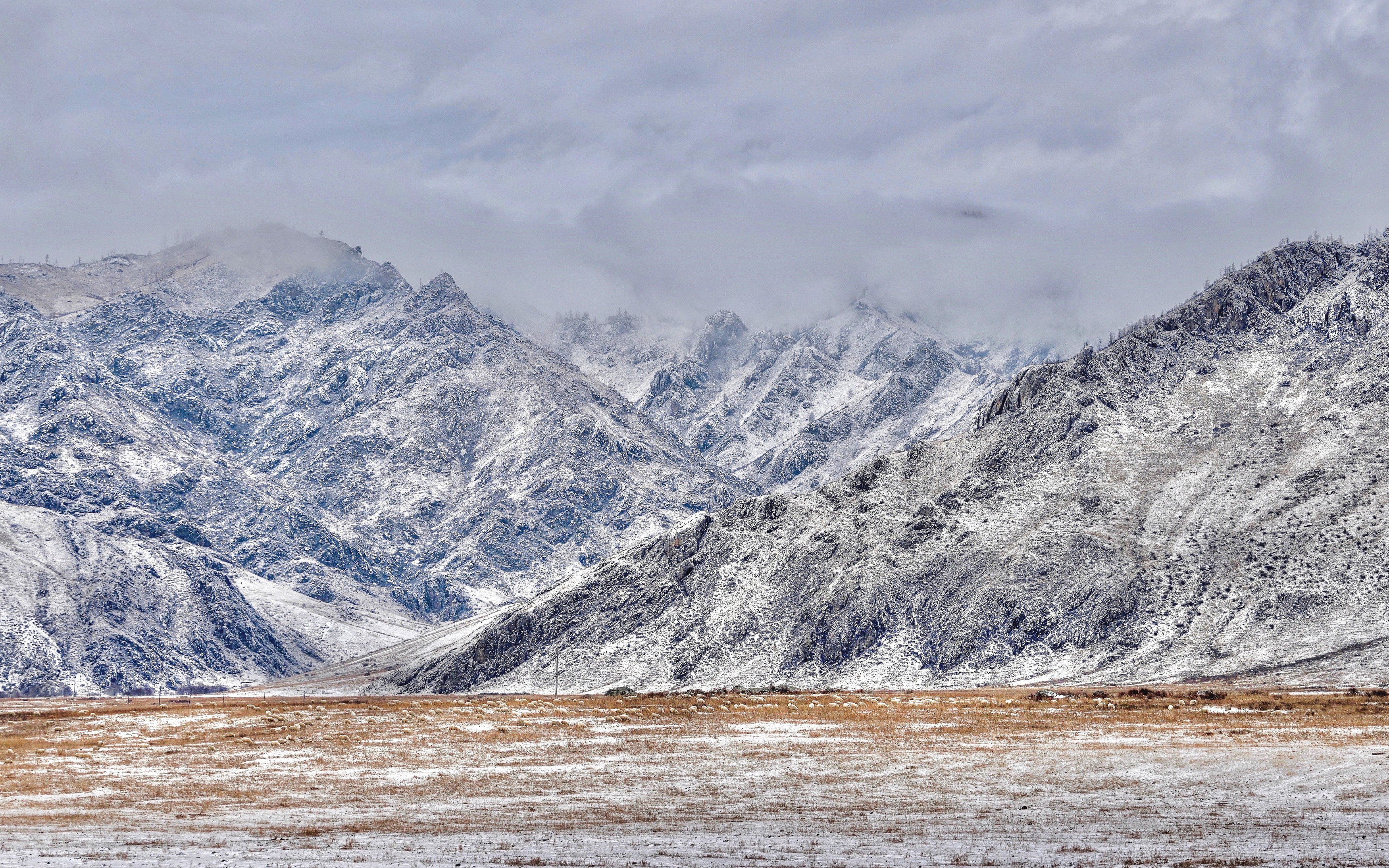 алтай, куюс, Кузнецов Андрей