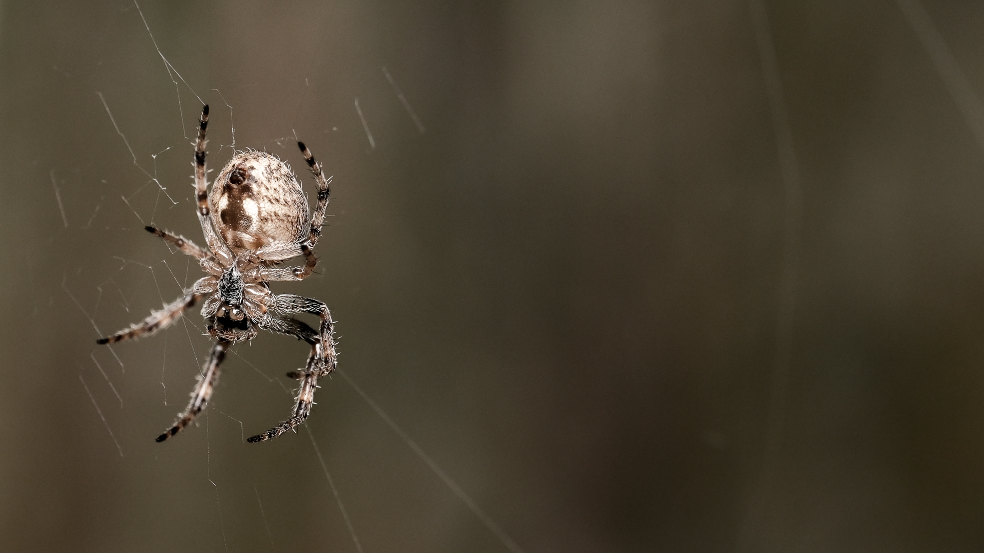 , Бодрягин Виталий