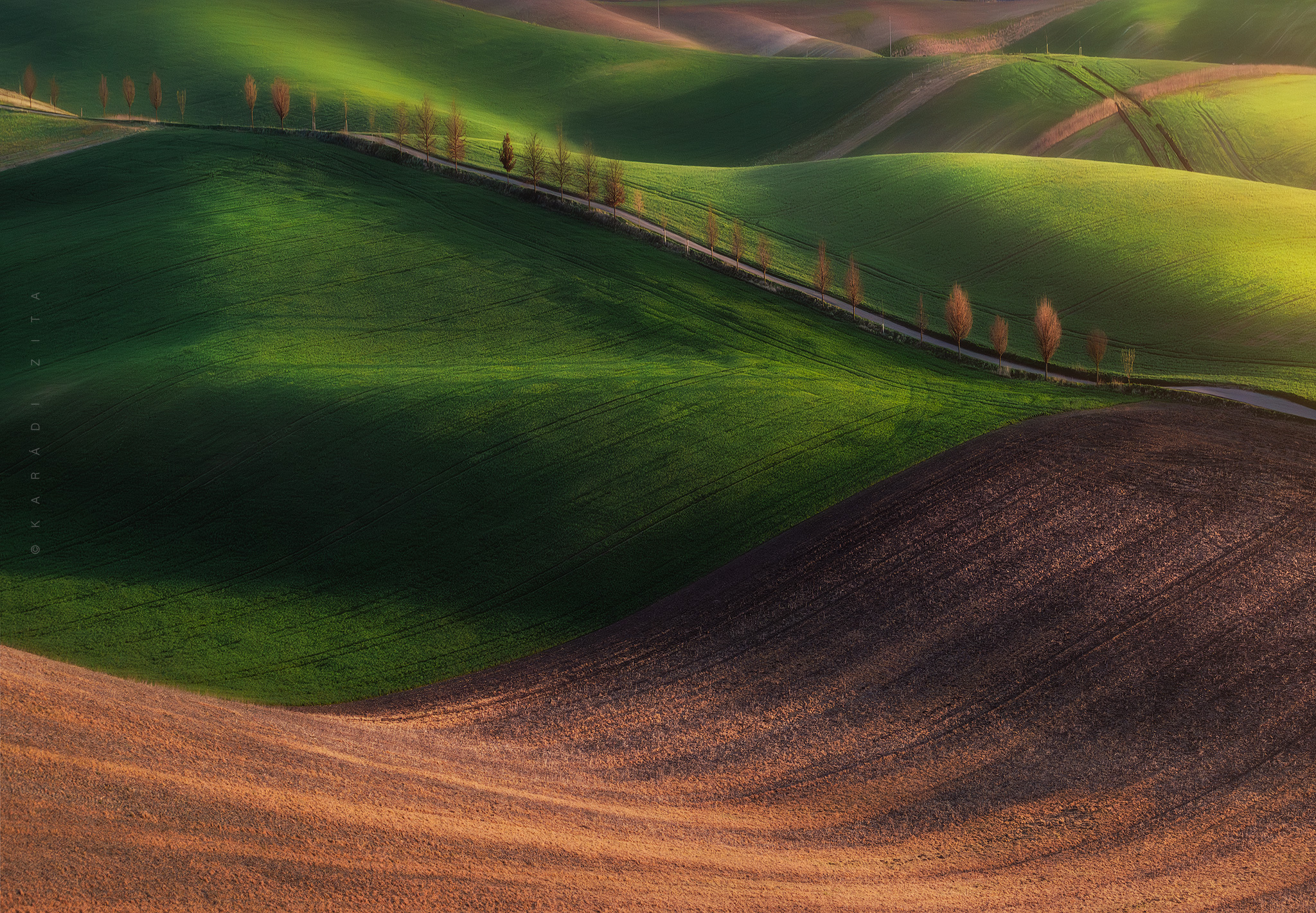 czech, moravia, landscape, green, rollinghills, trees, land, fields, agriculture, europe, lights,, Karádi Zita