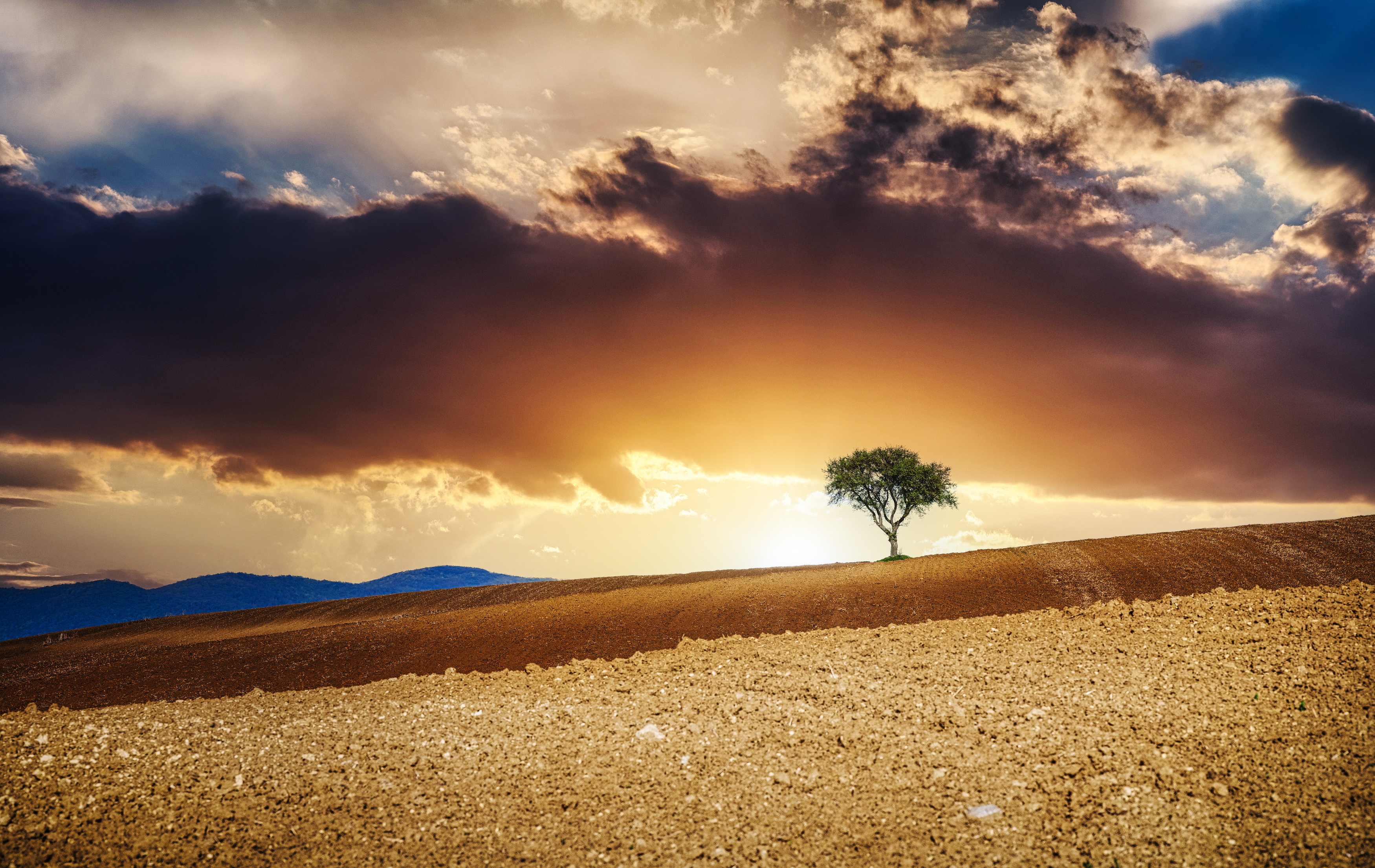 , Zavaydin Zavaydinov