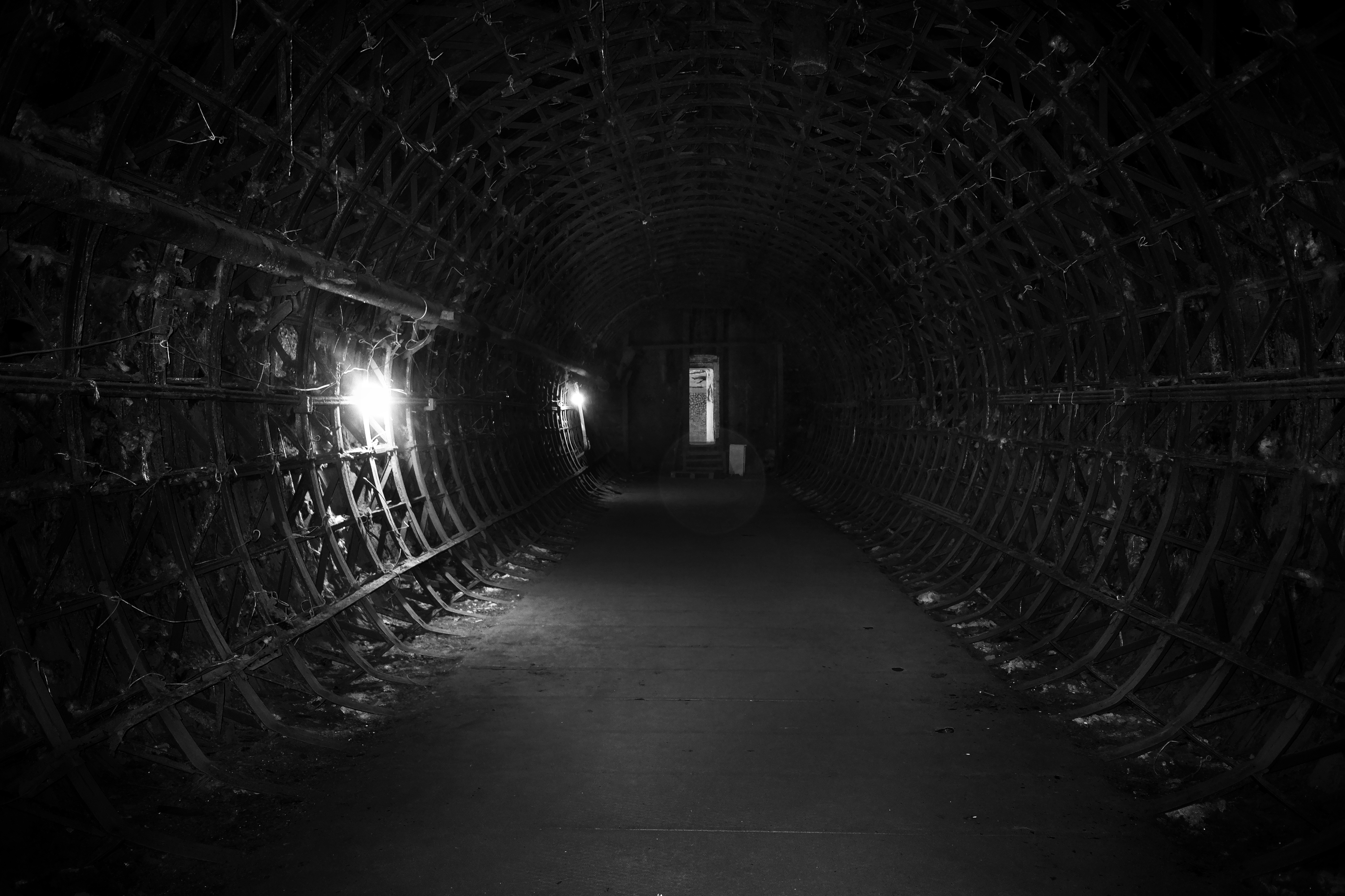 Свет, тьма, коридор, Зорин Миша