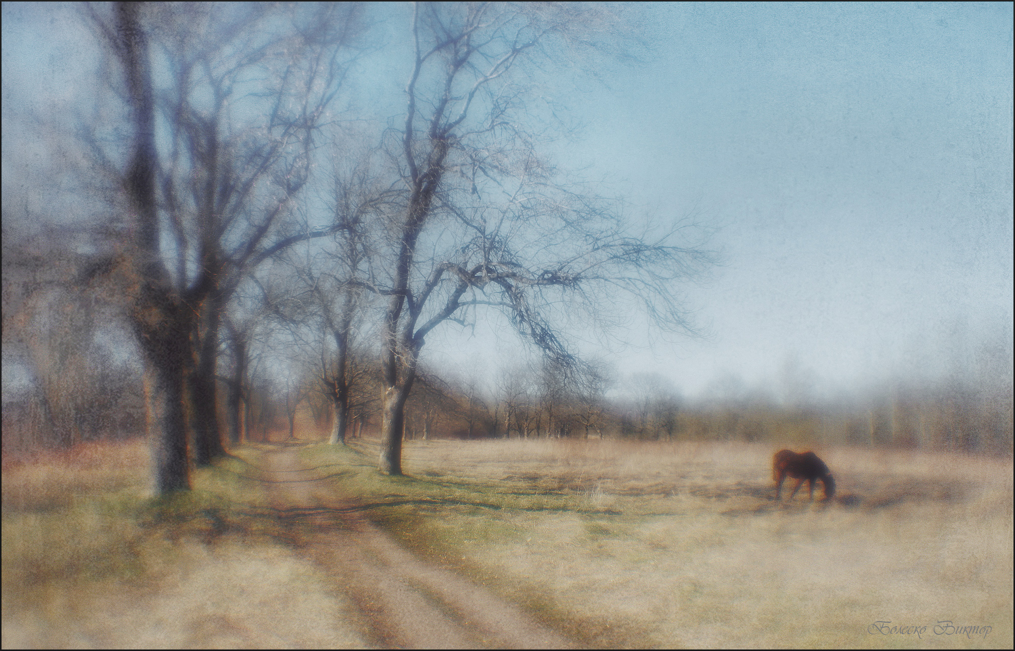 монокль, индустар-50, artрhoto, manuallens, художественное фото, Болеско Виктор