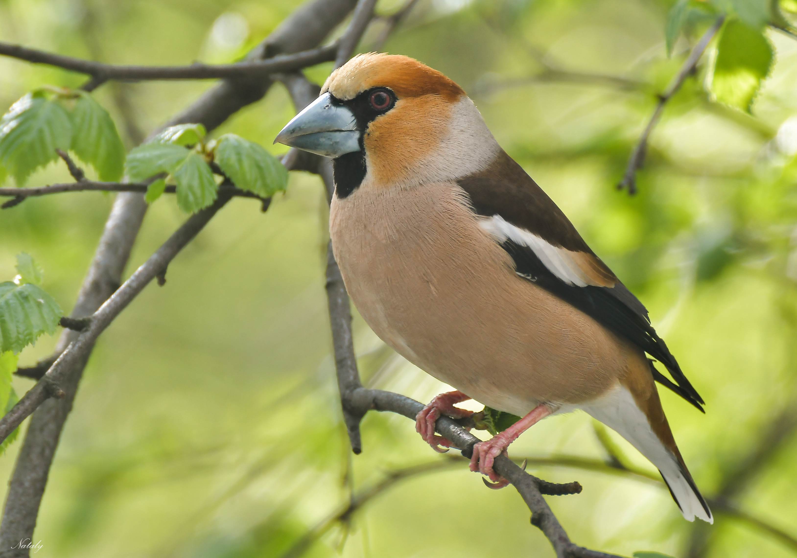 , Наталья Екимова