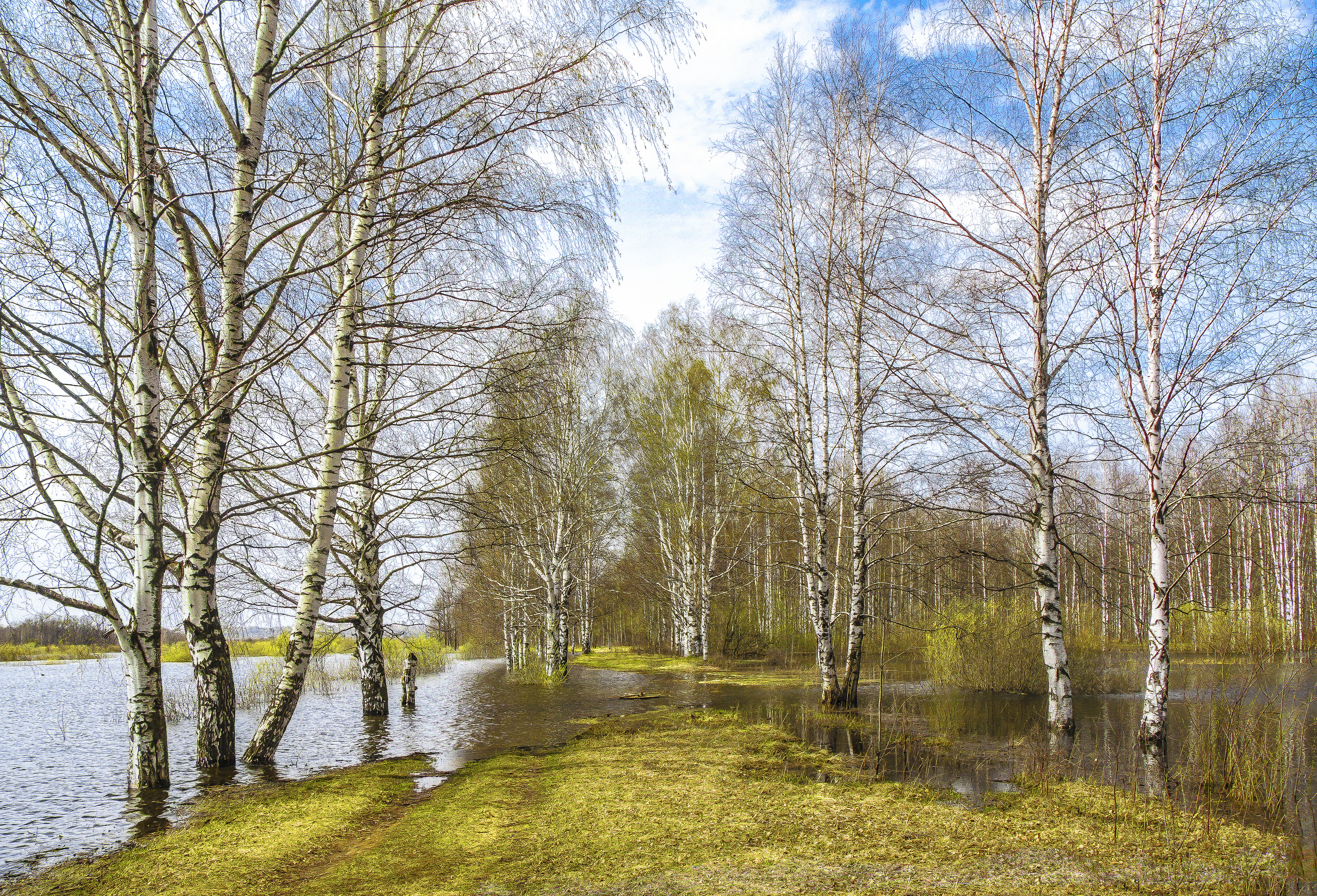 Киров, весна, разлив, галина новинская