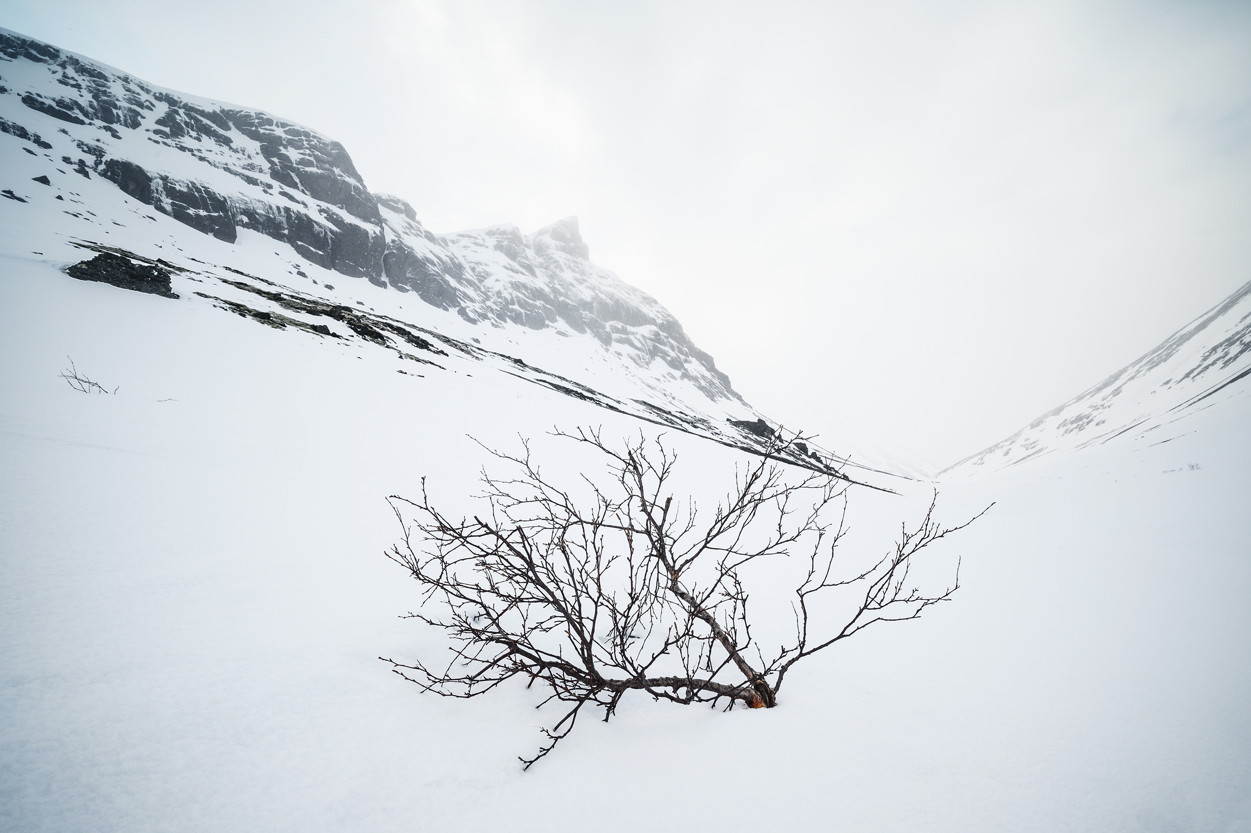 , Ян Сурогин