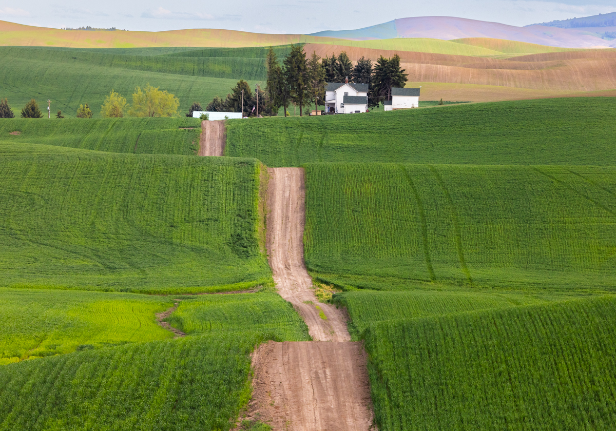 , Лозицкий Александр
