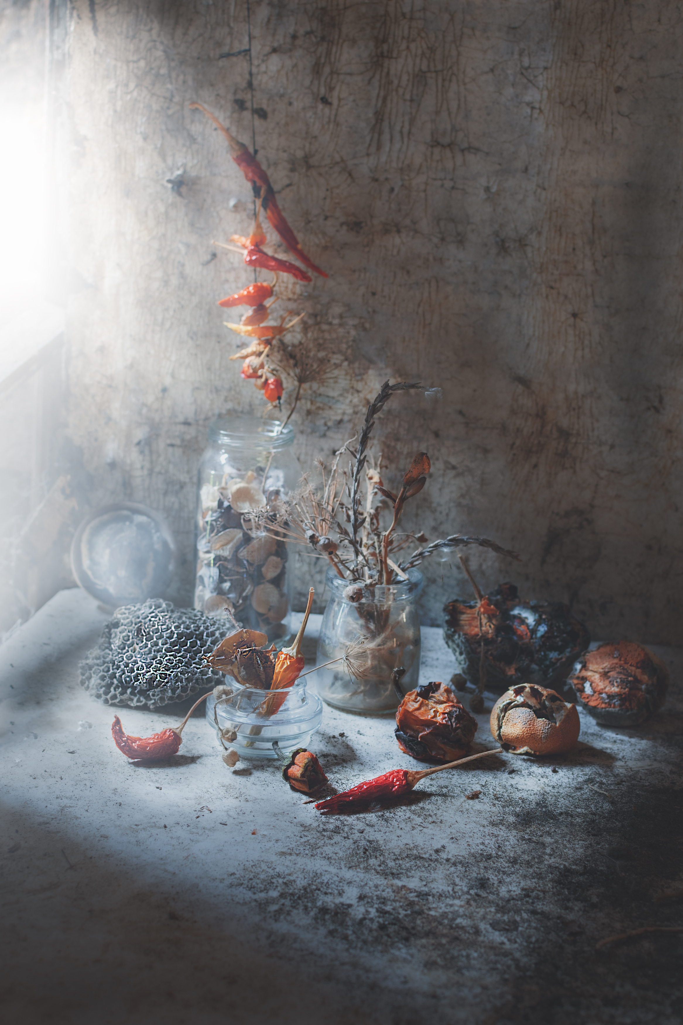 , Багриновская Наталия