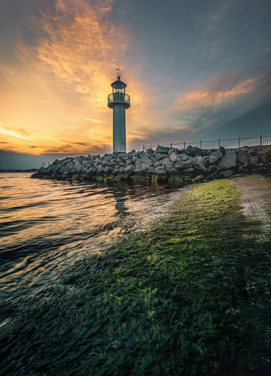 , Веселина Бобчева